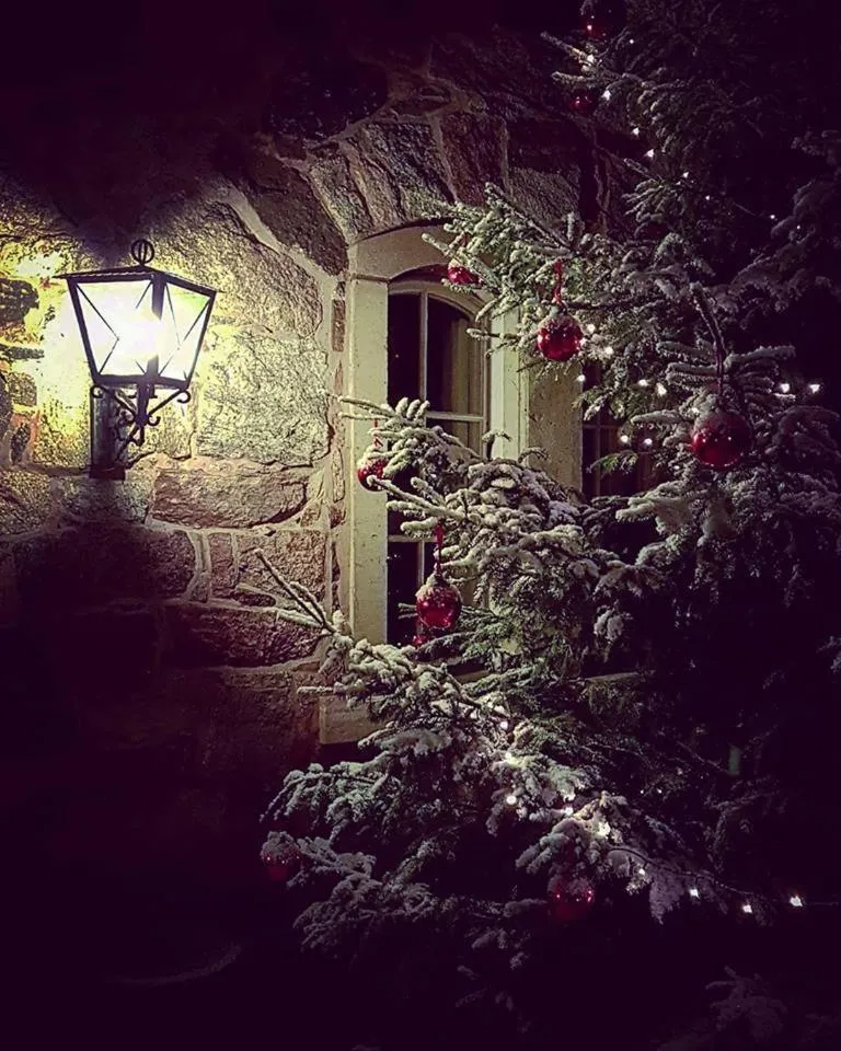 Winter in Kvarnen i Borgvik