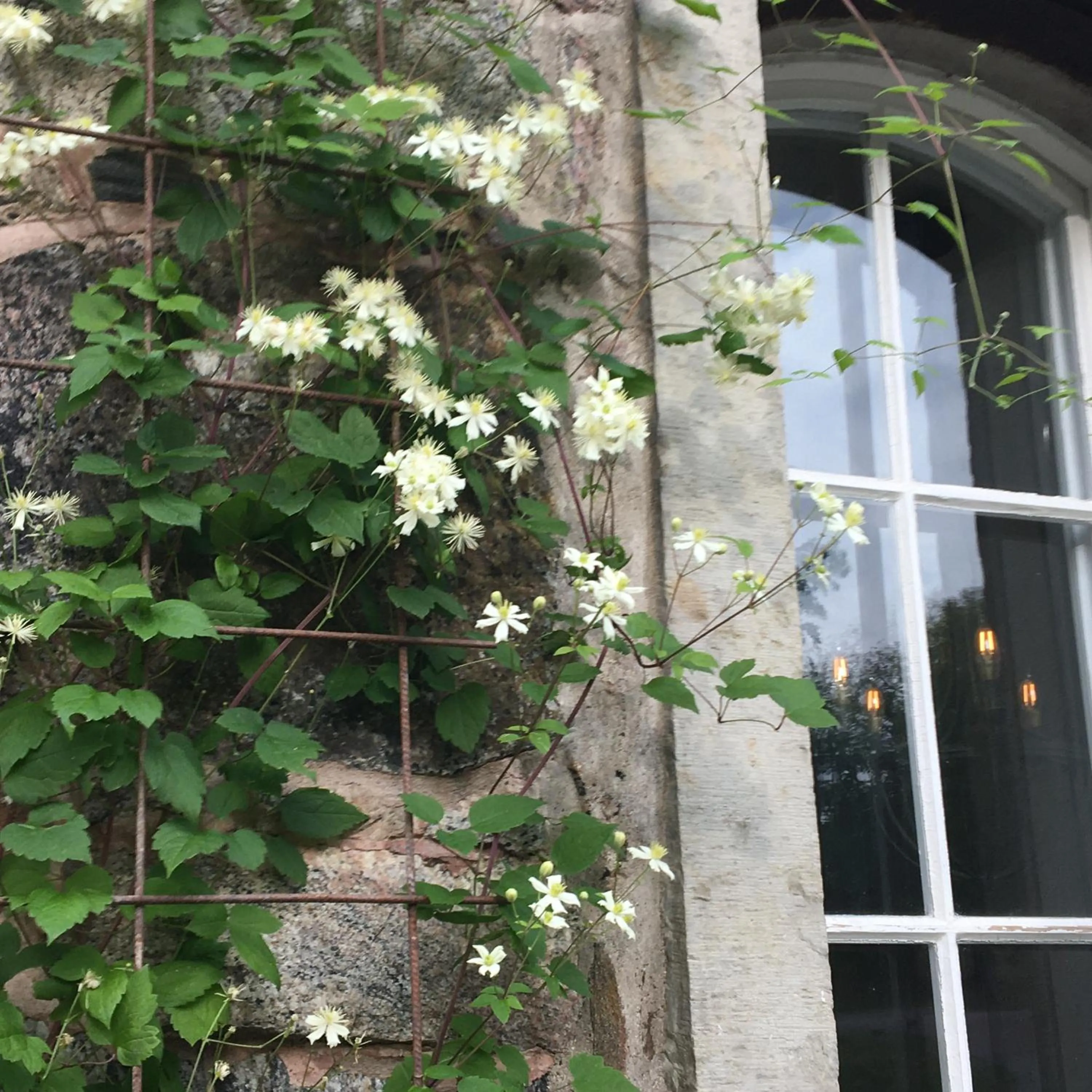 Property building in Kvarnen i Borgvik