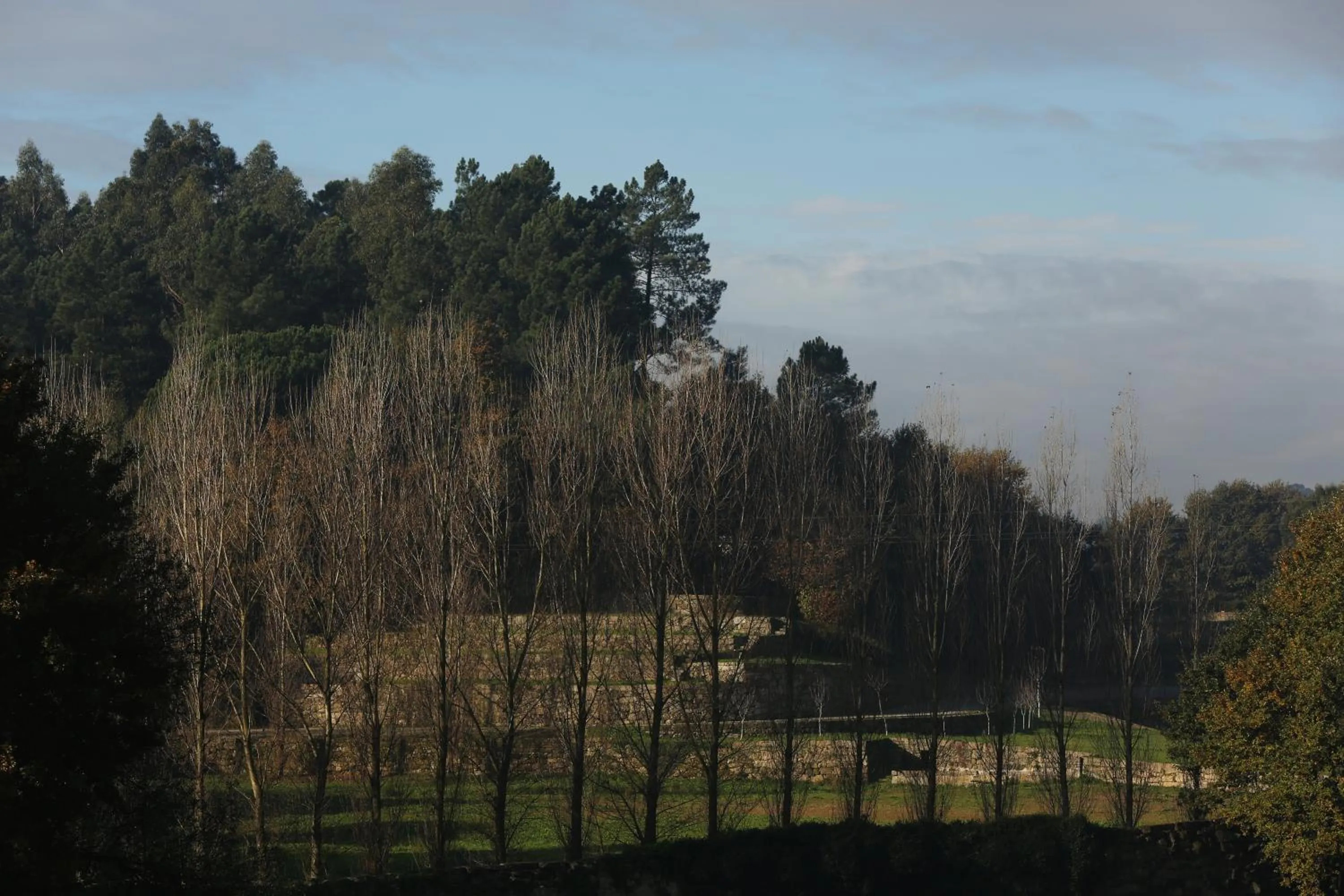 Facade/entrance in Solar Egas Moniz-Charming House & Local Experiences