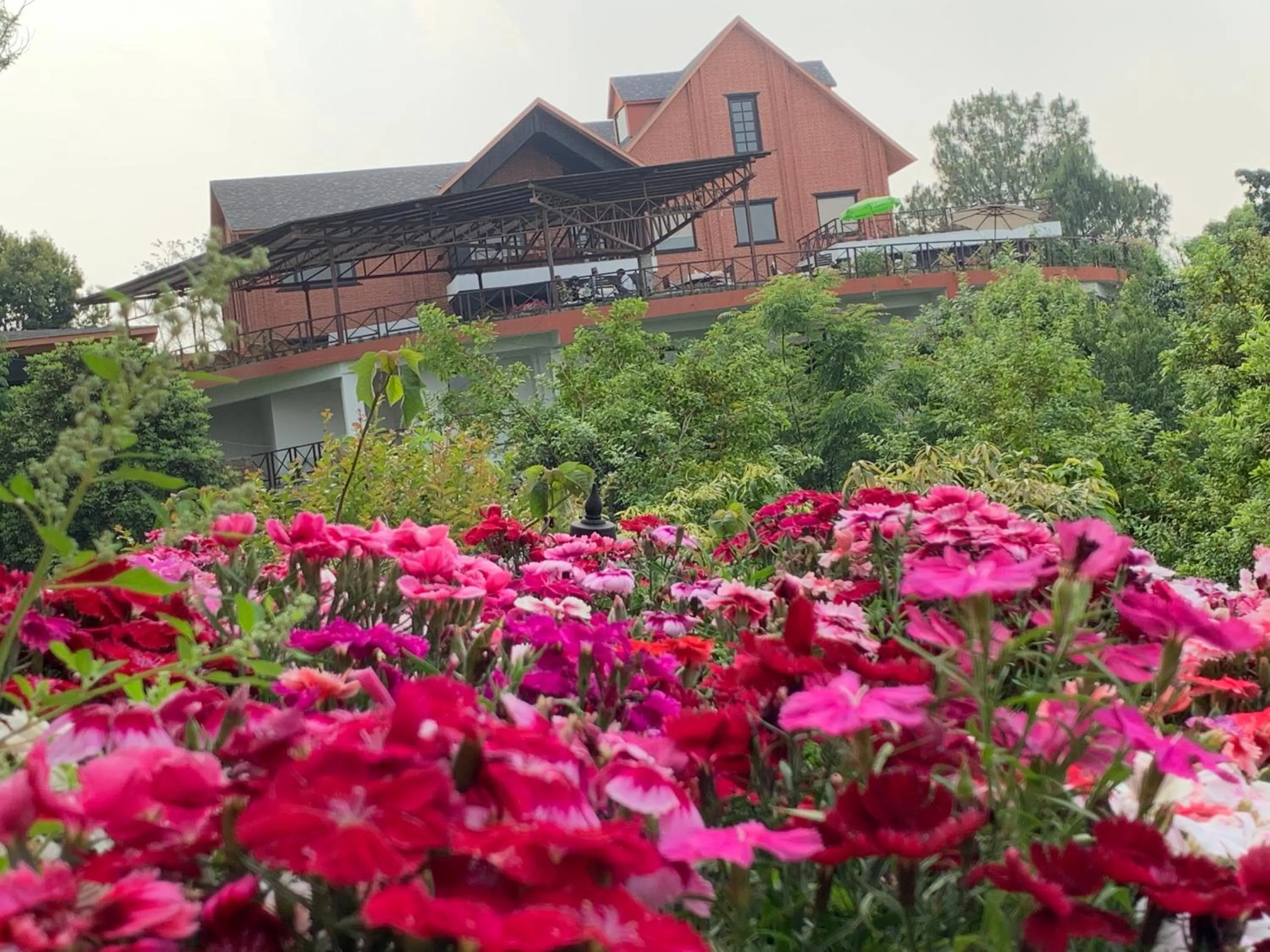 Garden in Dhulikhel Mountain Resort