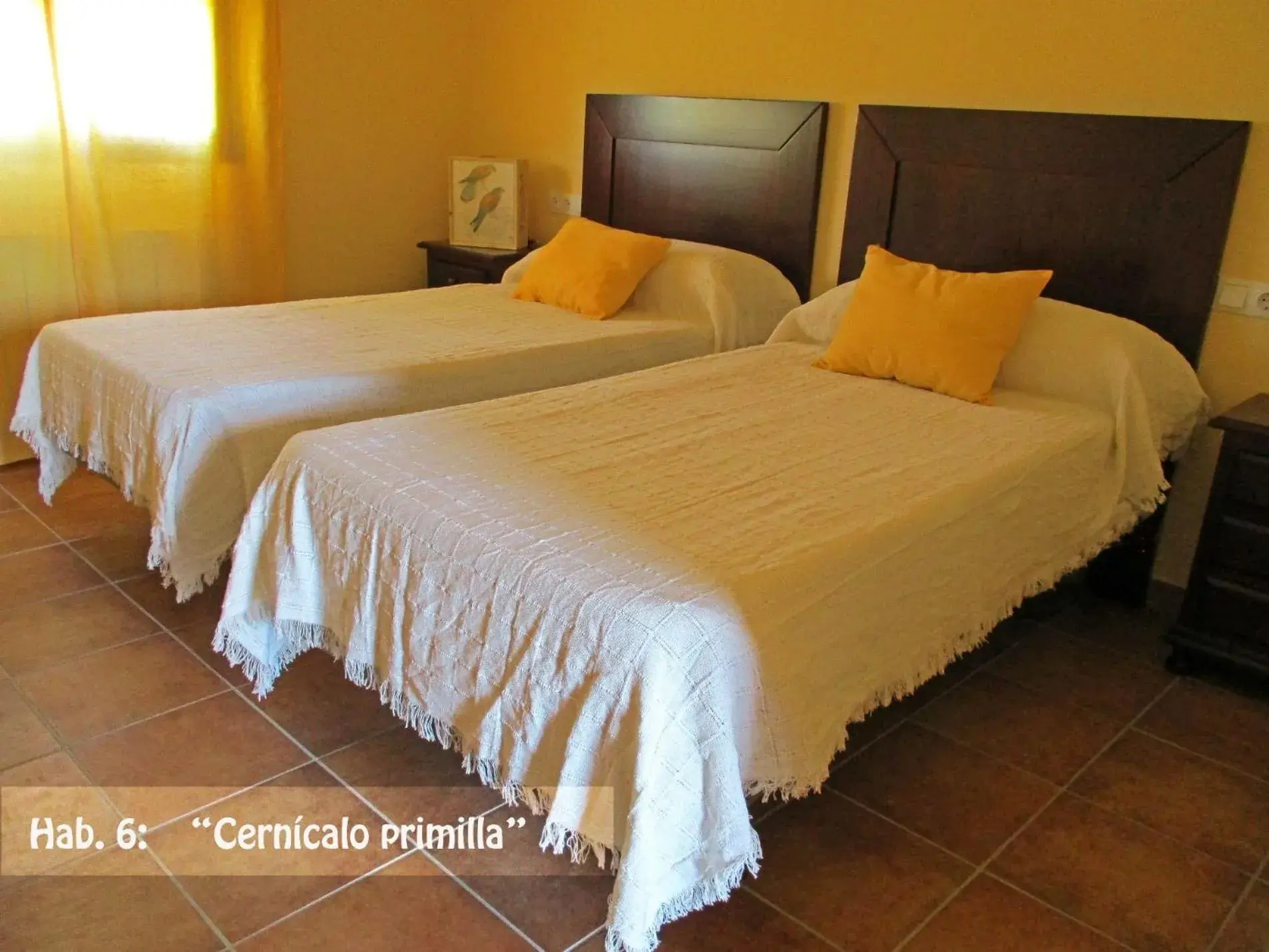 Twin Room - single occupancy in Casa Rural El Nidal Twin Room - single occupancy in Casa Rural El Nidal
