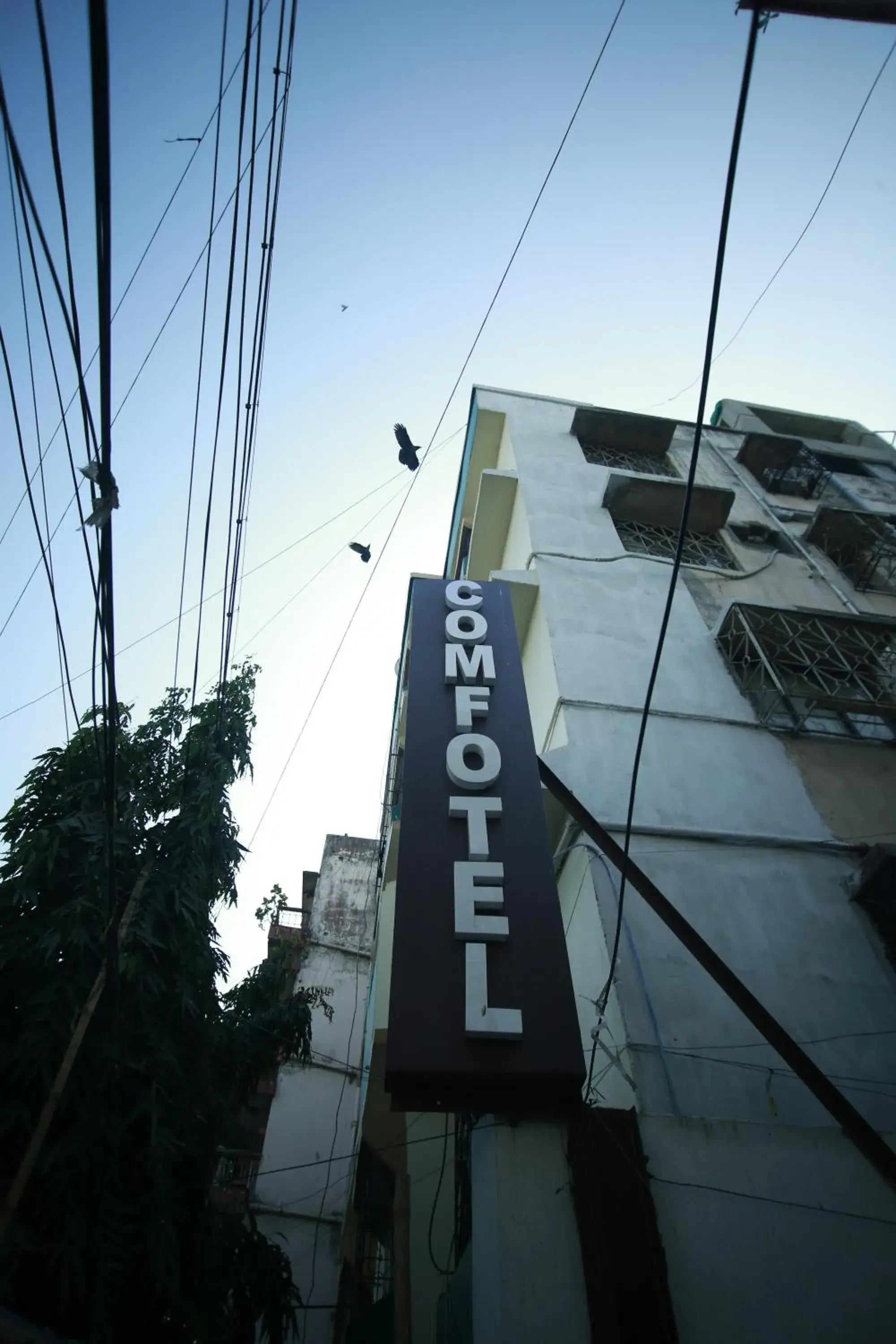 Hotel Comfotel Kolkata Hotel Comfotel Kolkata