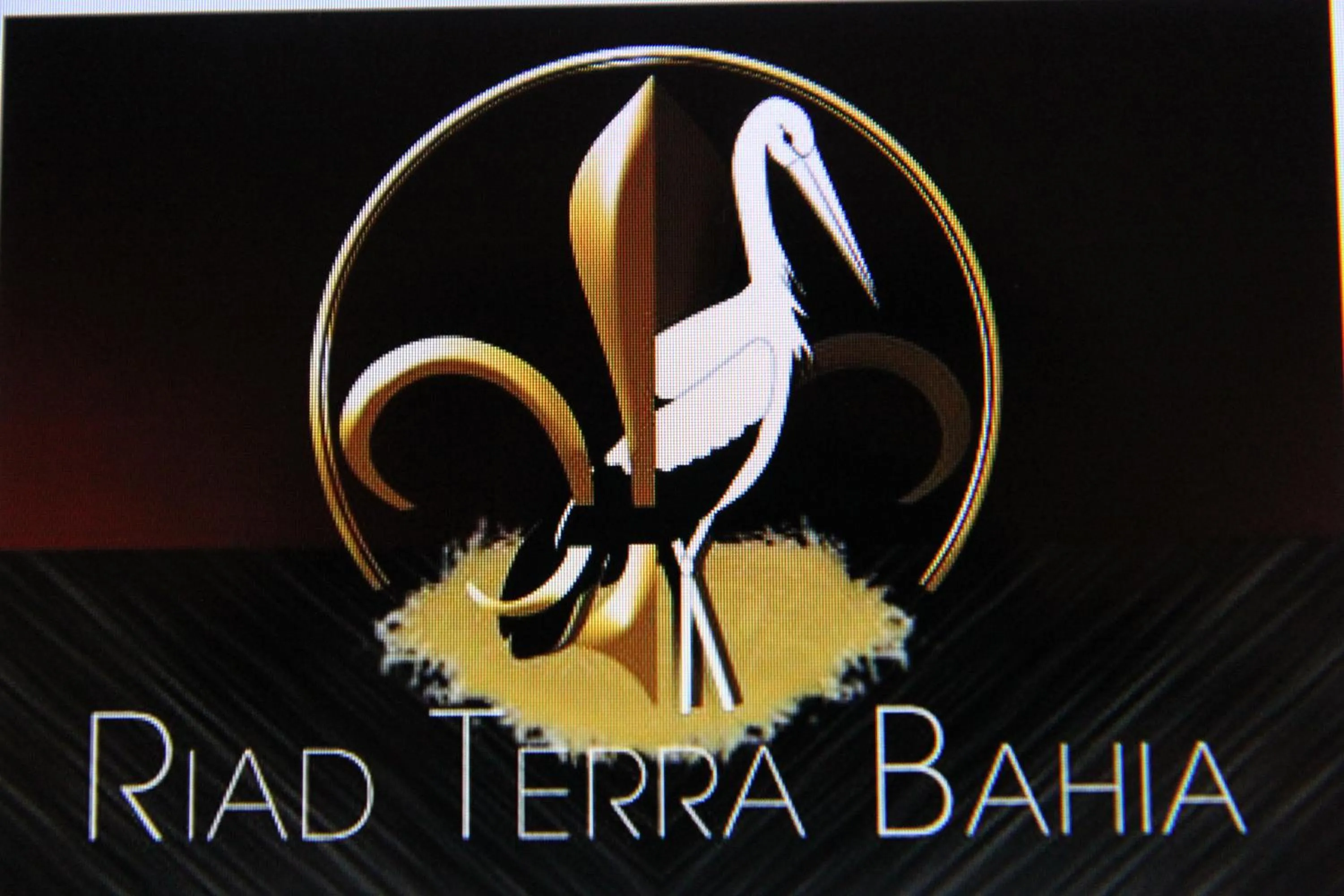 Logo/Certificate/Sign in Riad Terra Bahia