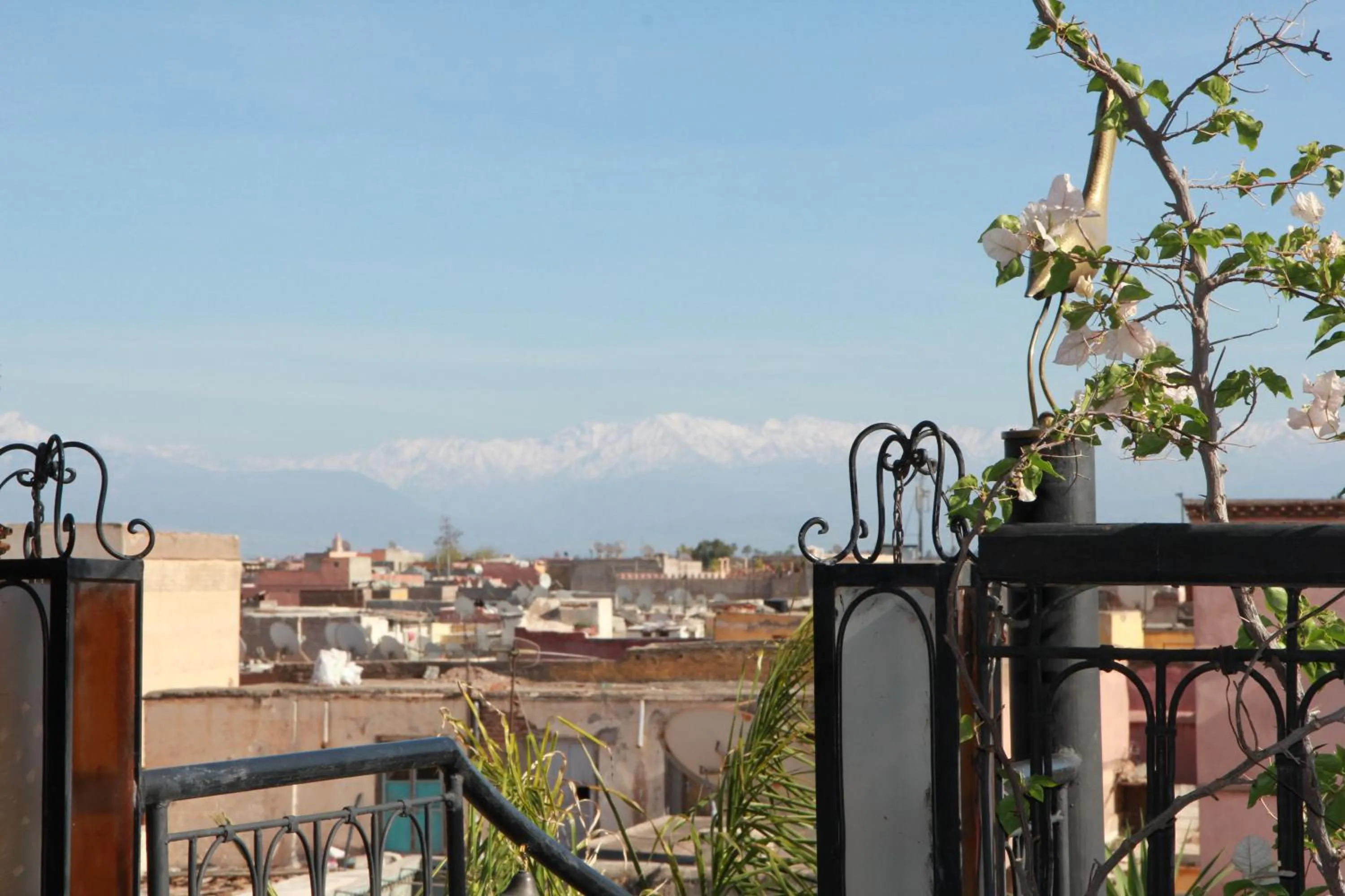 Garden in Riad Terra Bahia