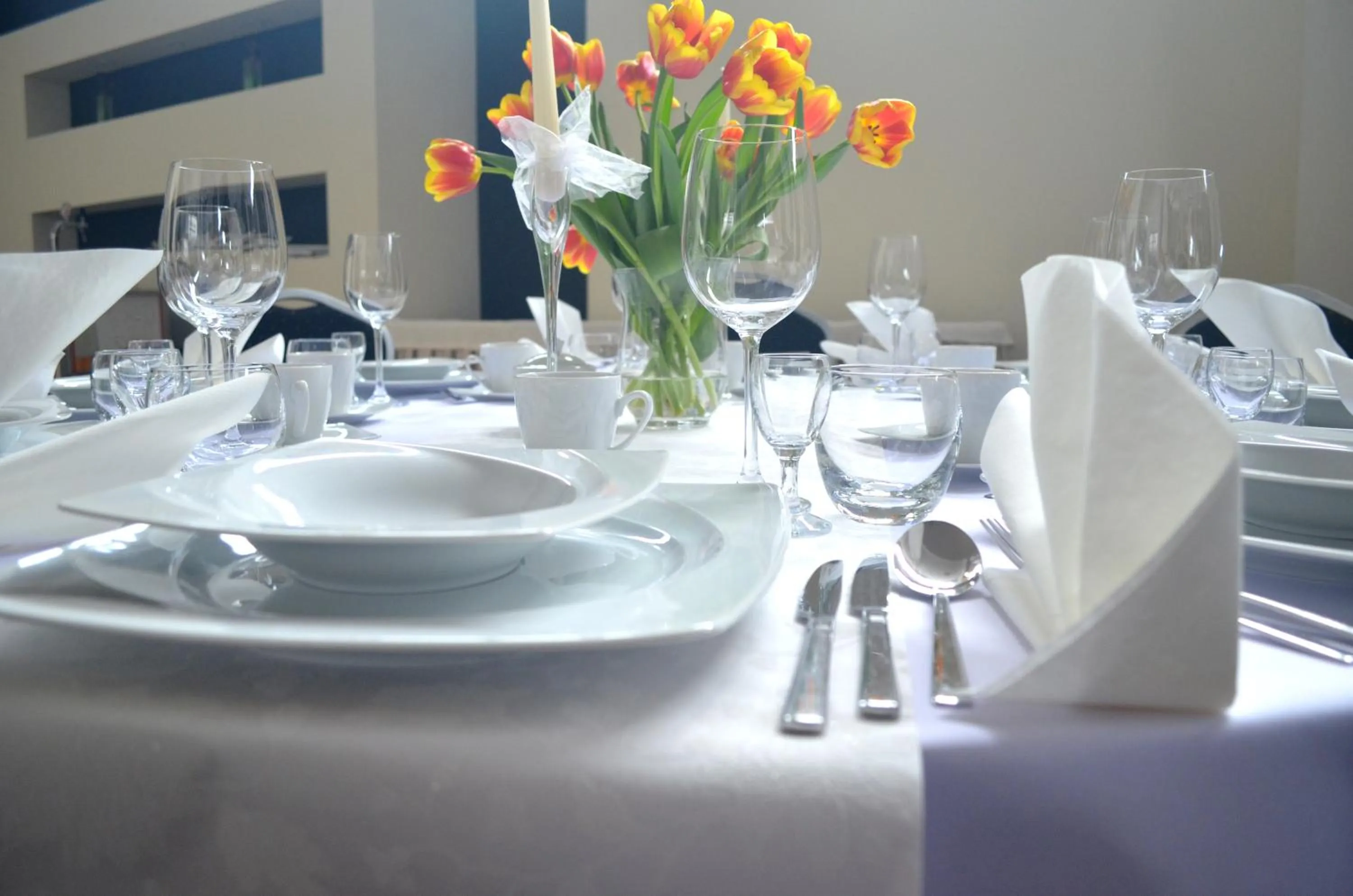 Banquet/Function facilities in Hotel Malinowski Business