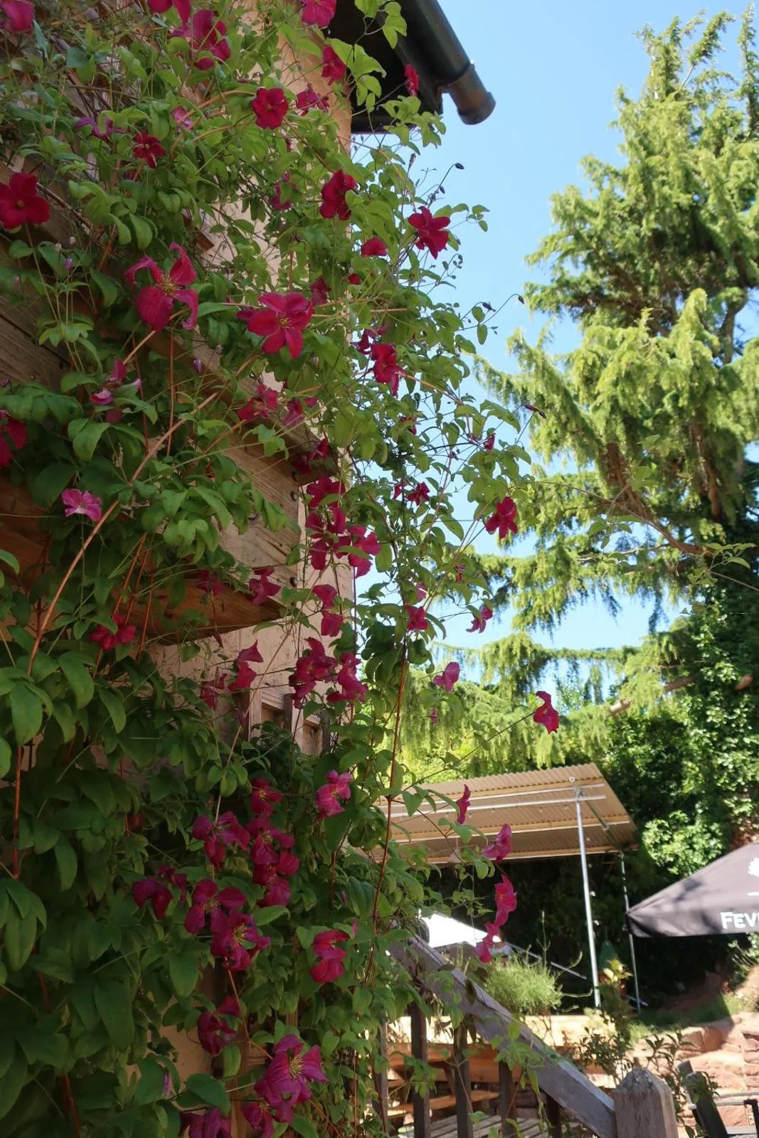 Property building in The Lamb Inn