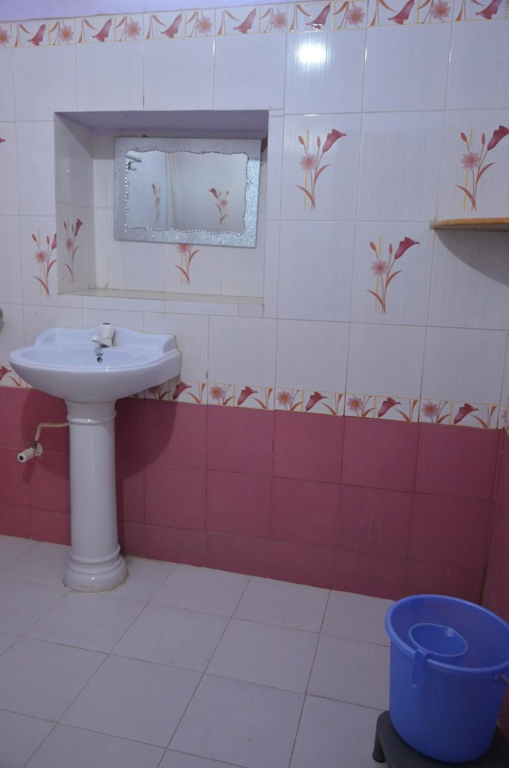 Bathroom in Hotel Renuka