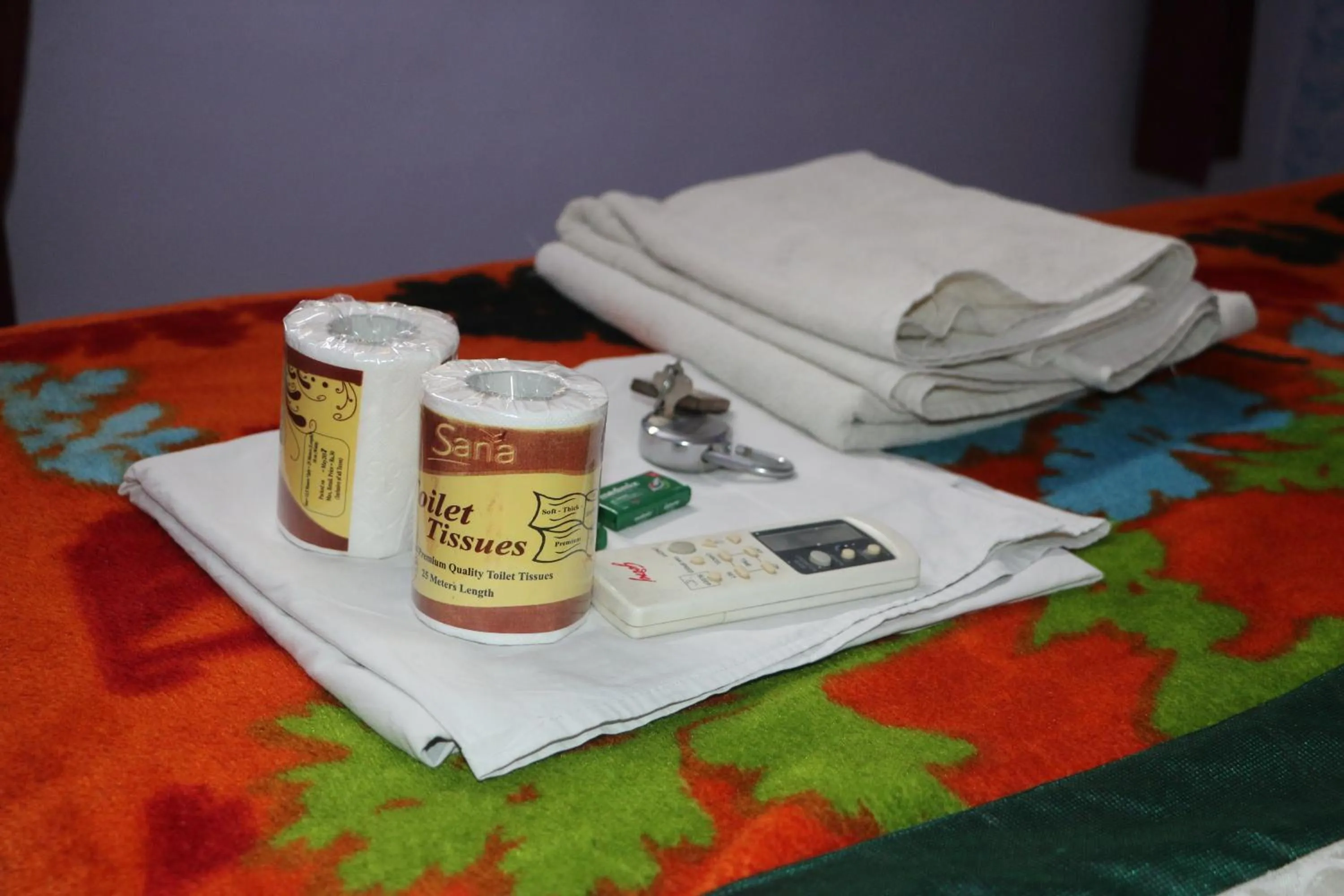 towels in Hotel Renuka