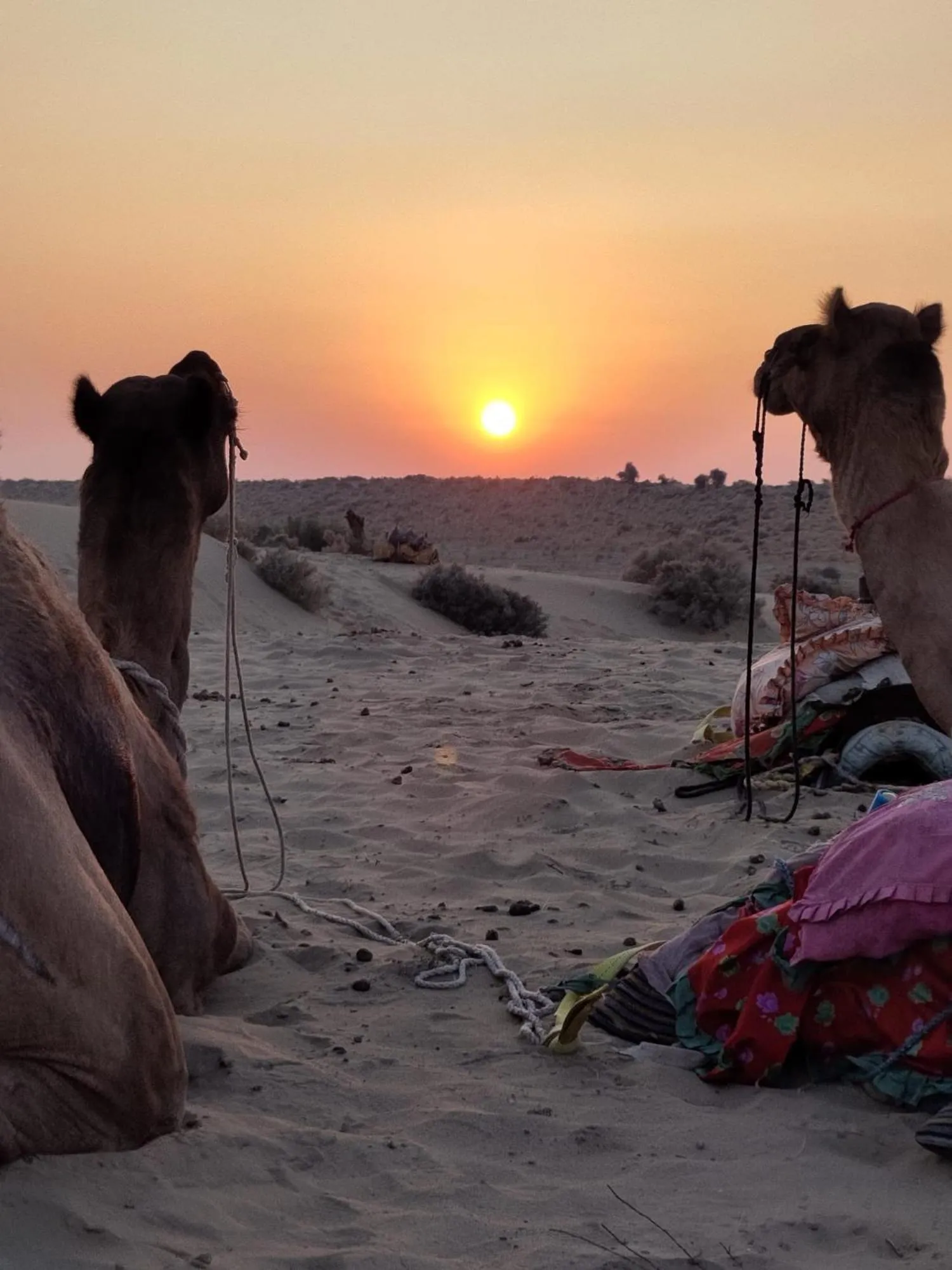 Sunset in Hotel Renuka