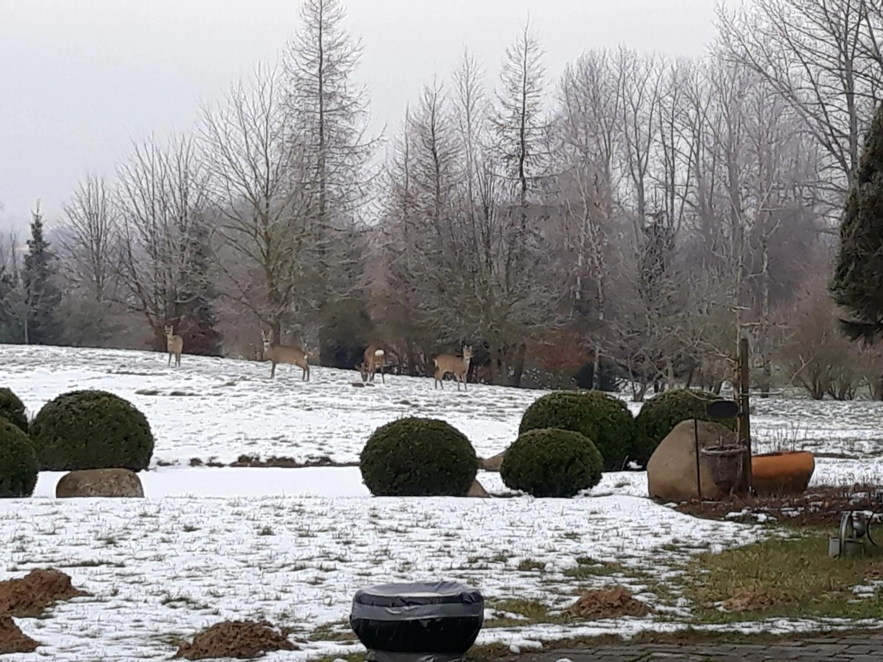 Natural landscape in Hotel Dworek nad Regą