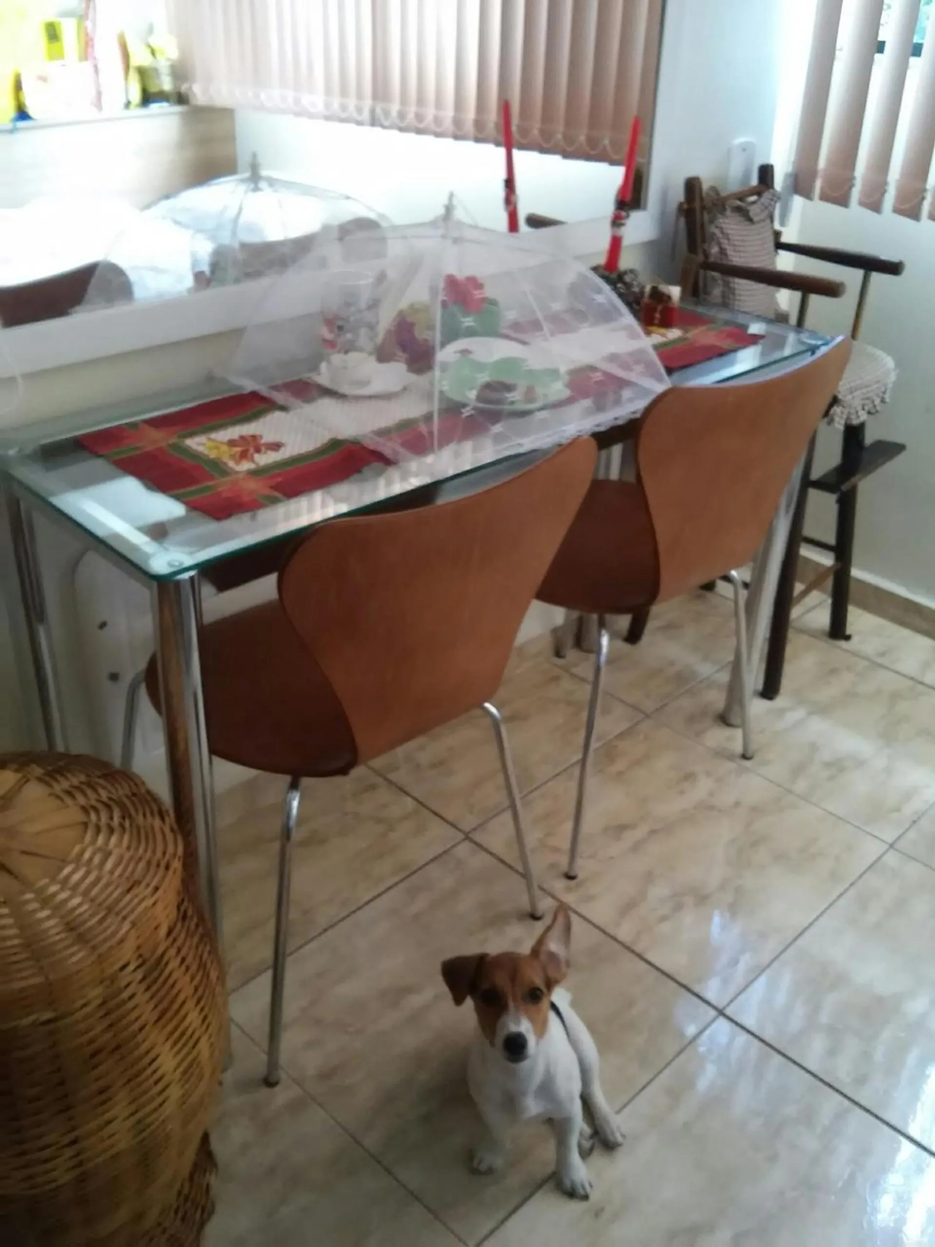 Dining area in Apart Hotel em Caxambu207
