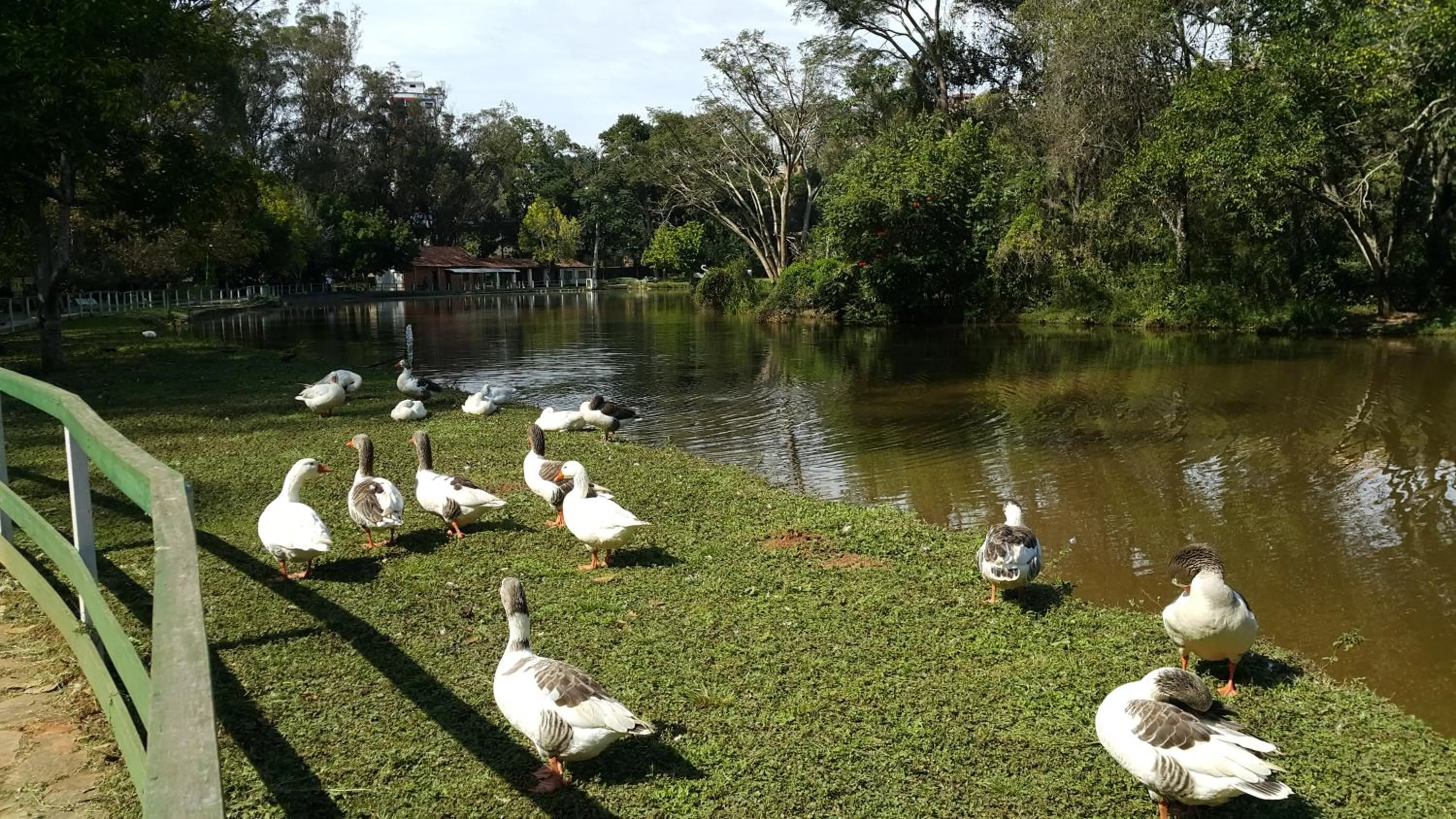 Nearby landmark in Apart Hotel em Caxambu207
