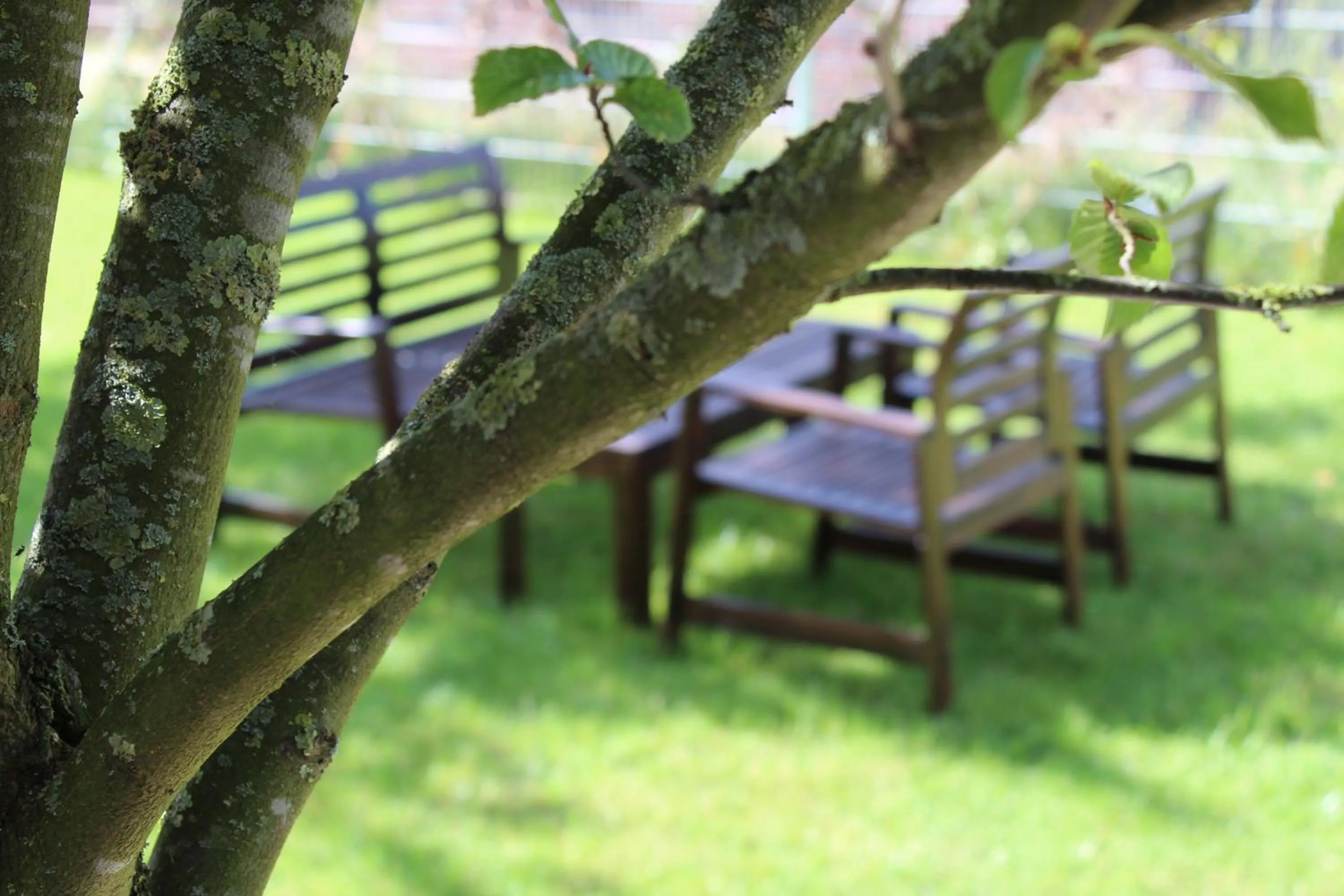 Garden view in Pur Hotel