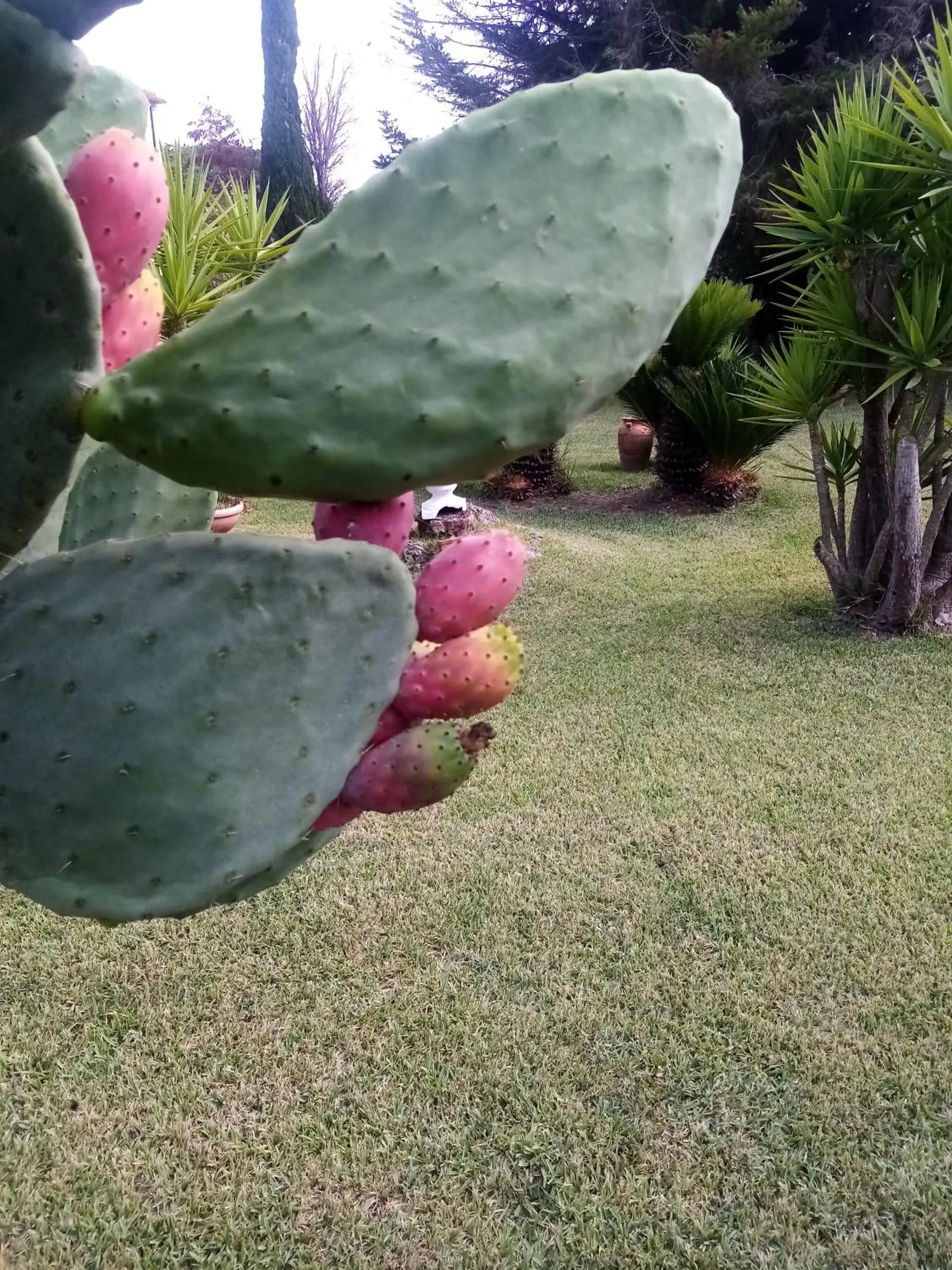 Apartment - single occupancy in Mamena Apartment - single occupancy in Mamena