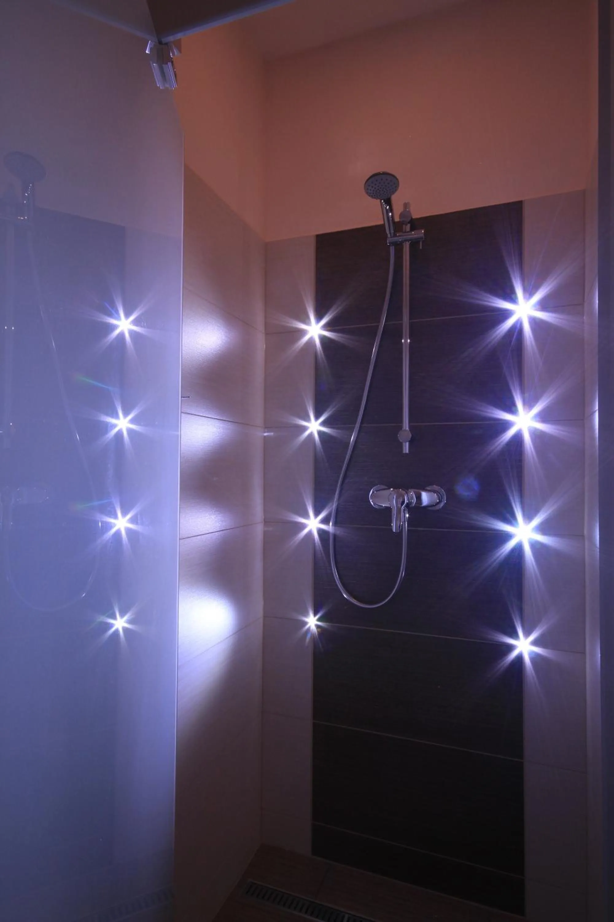 Shower in Hotel Bílý jednorožec