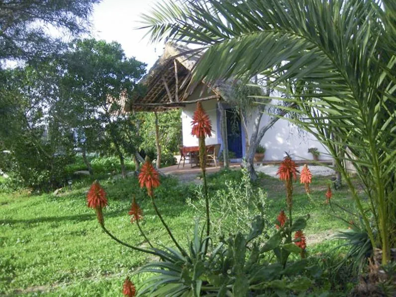 Property building in Casas Karen