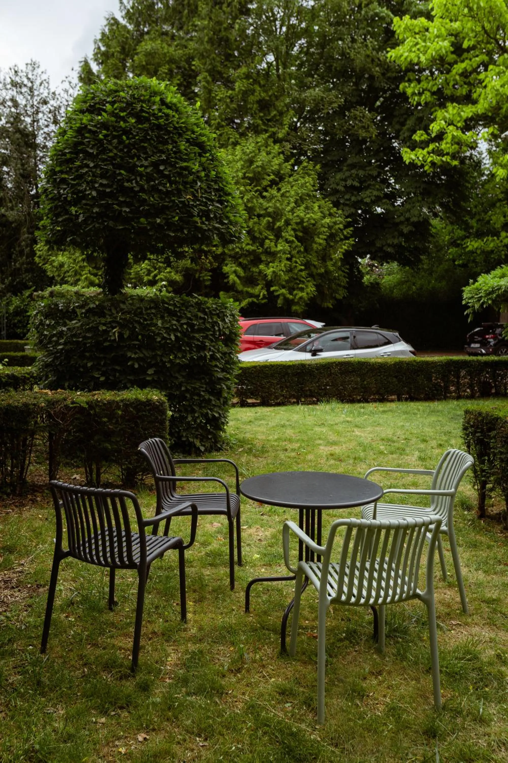 Garden in Hotel Orion