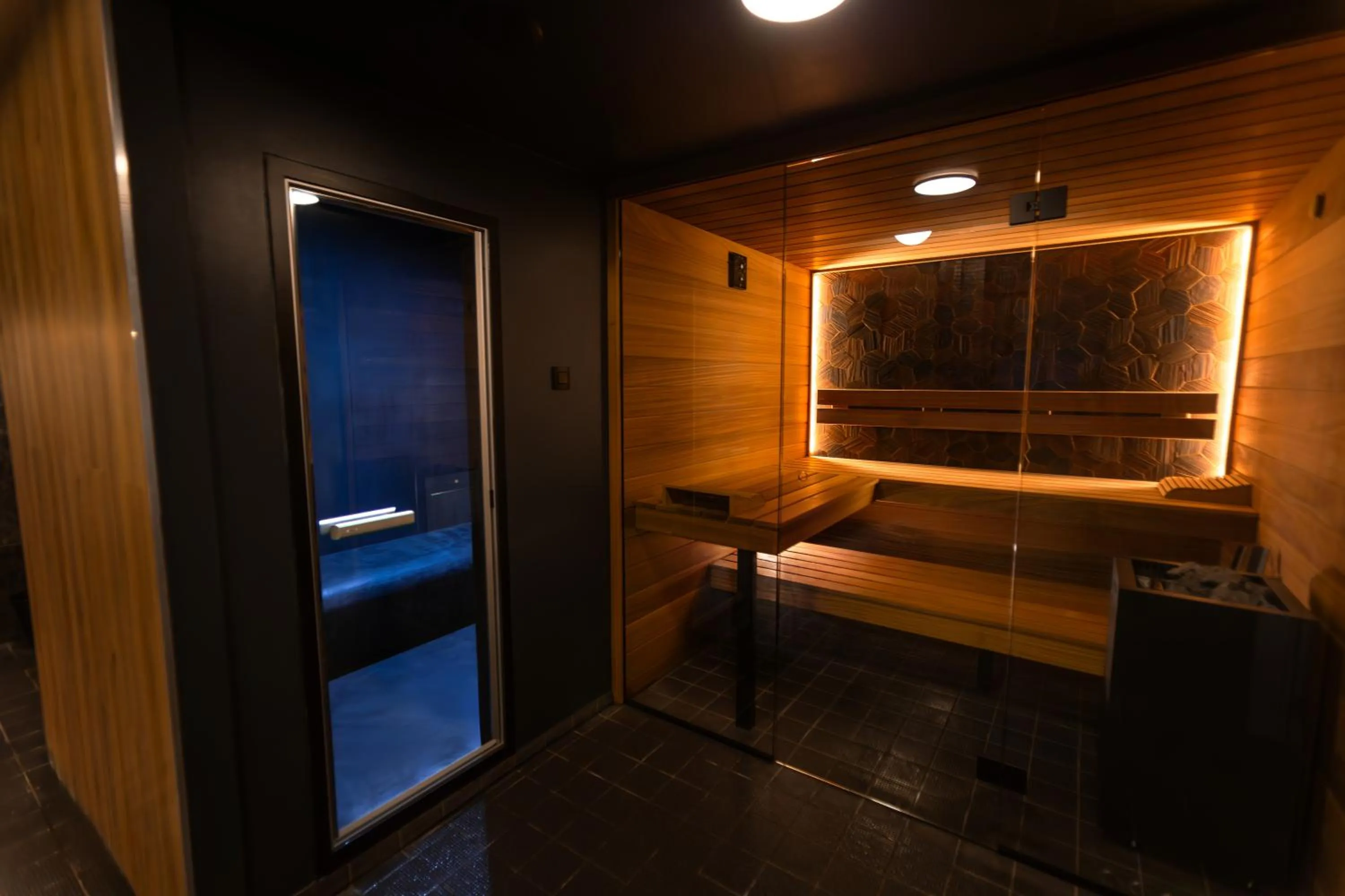 Sauna in Hotel Orion