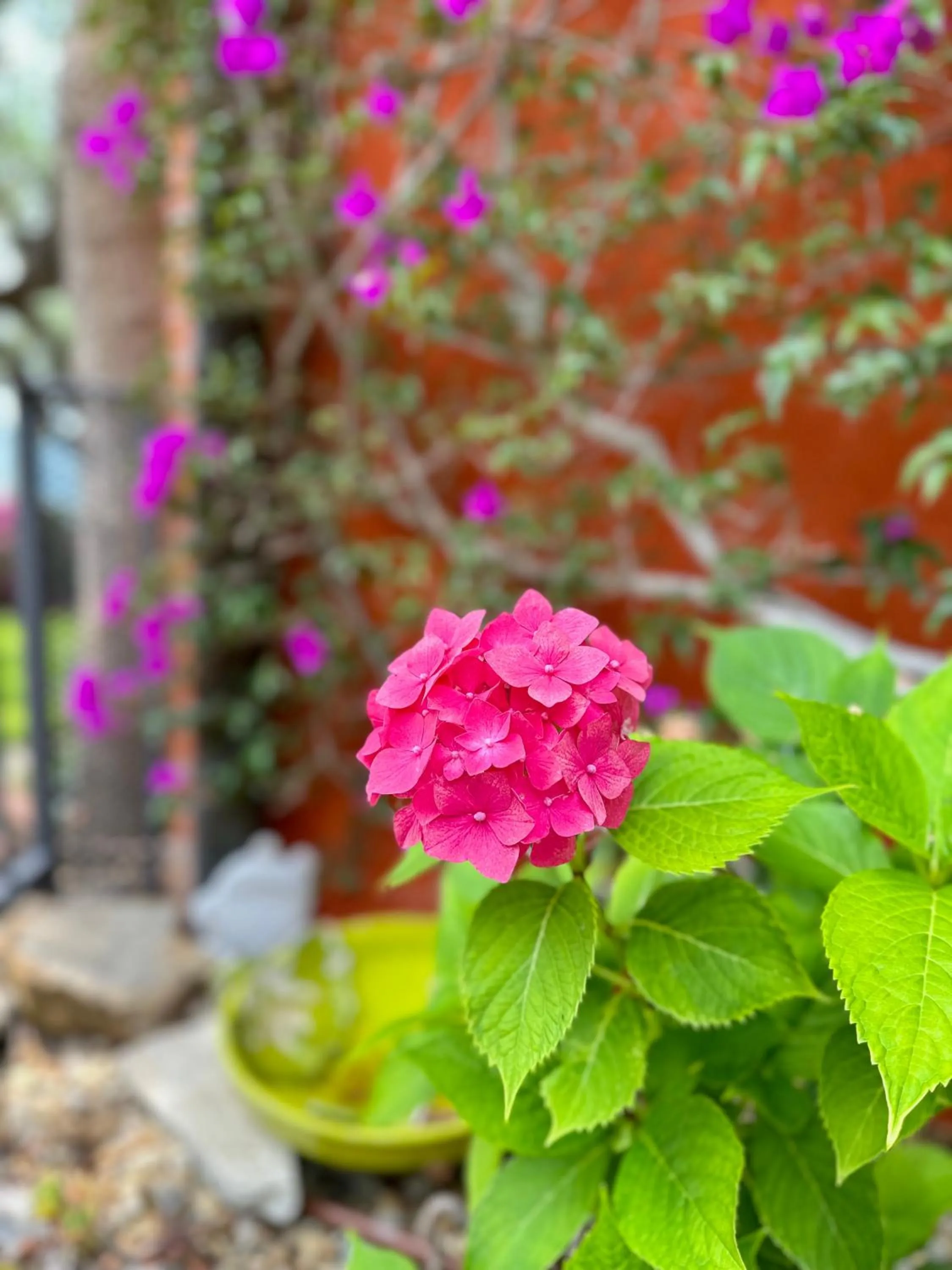 Garden in Relais San Damian