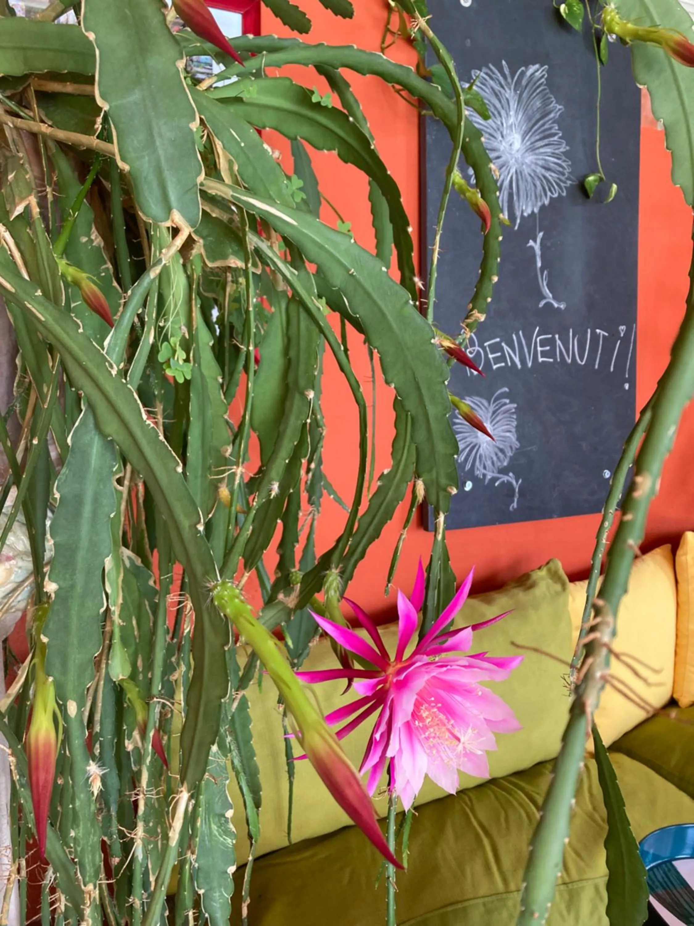 Lounge or bar in Relais San Damian