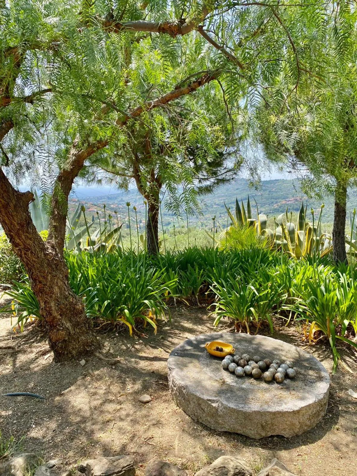 Garden in Relais San Damian