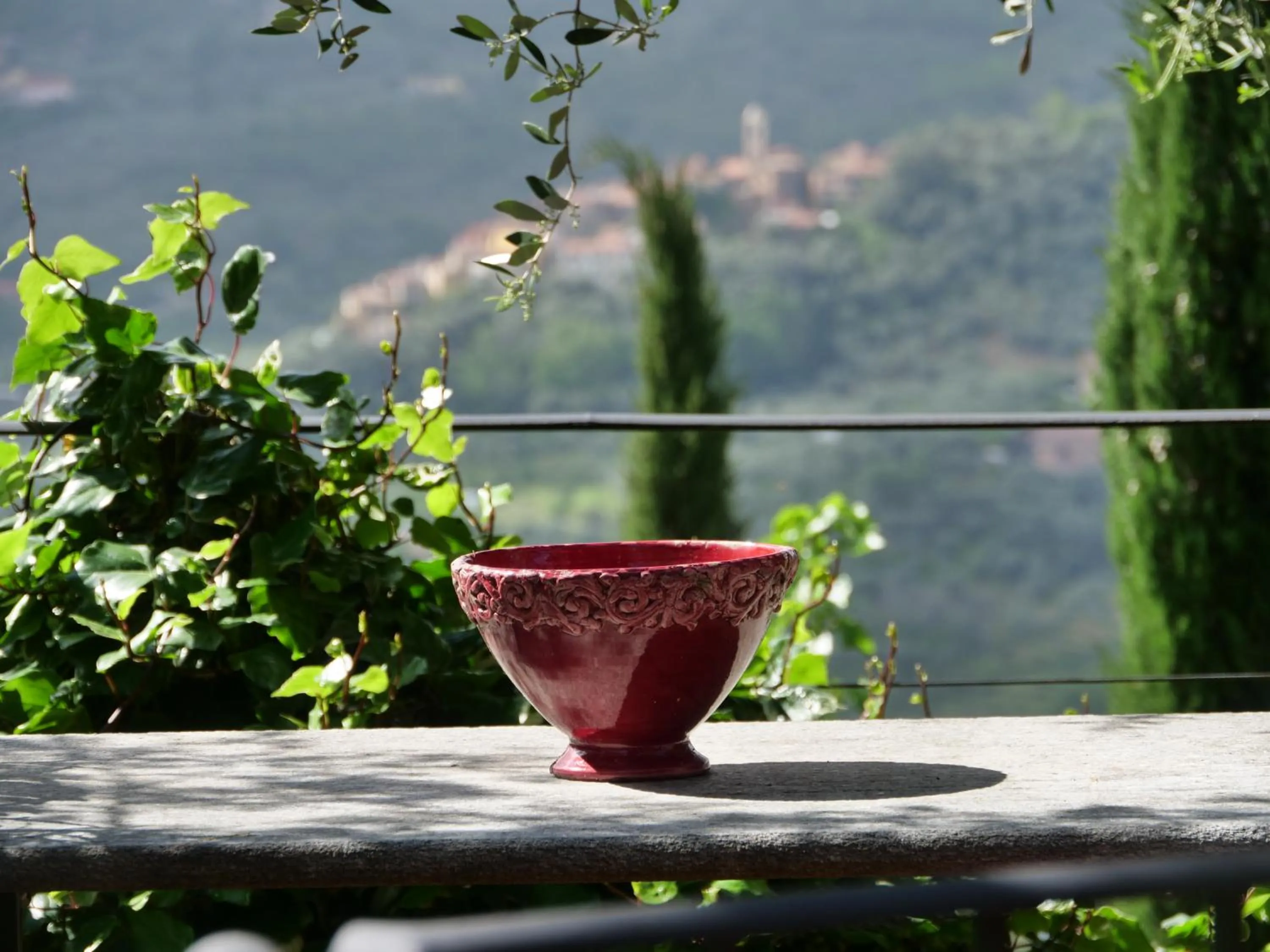 Garden in Relais San Damian