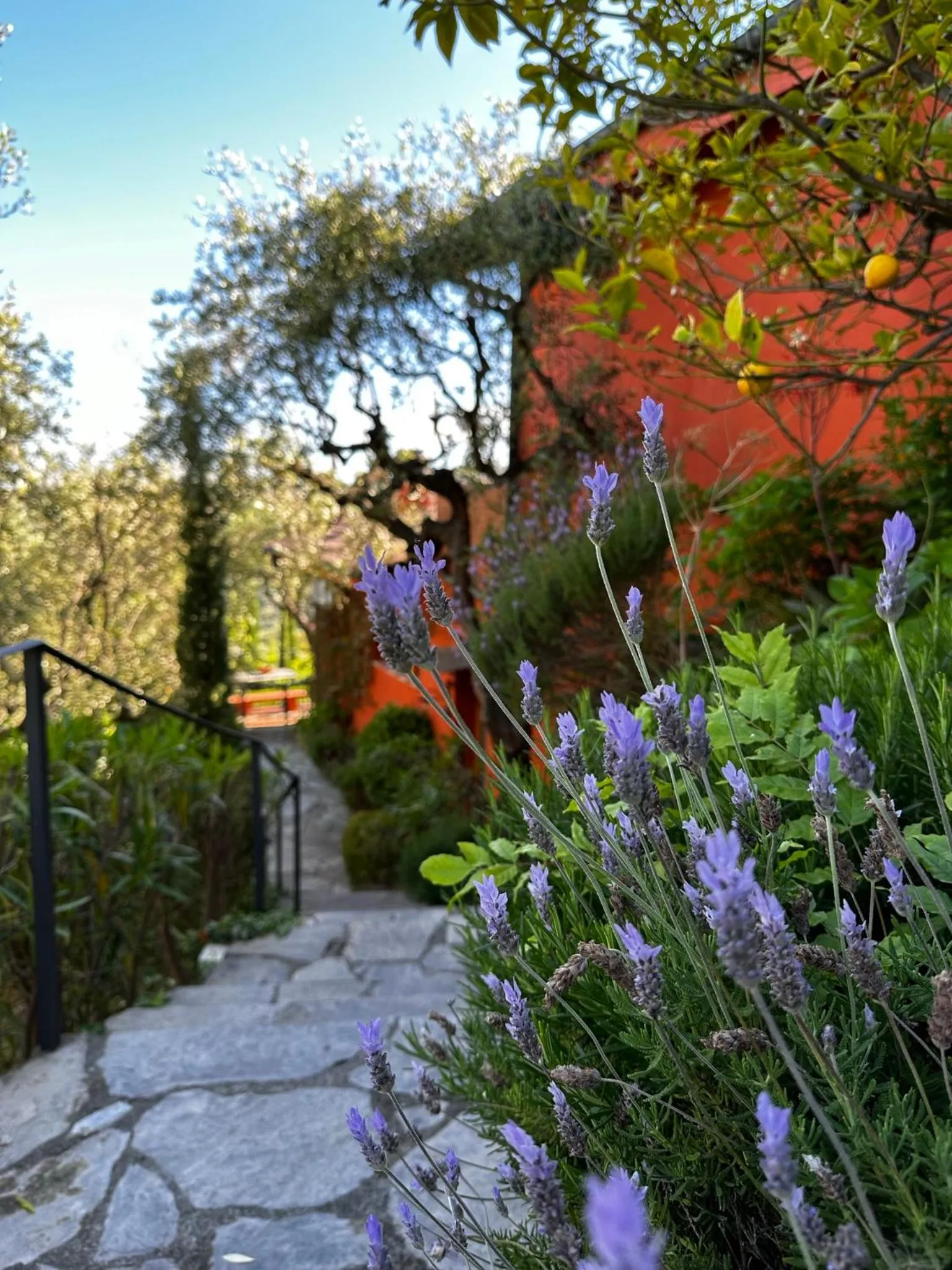 Spring in Relais San Damian