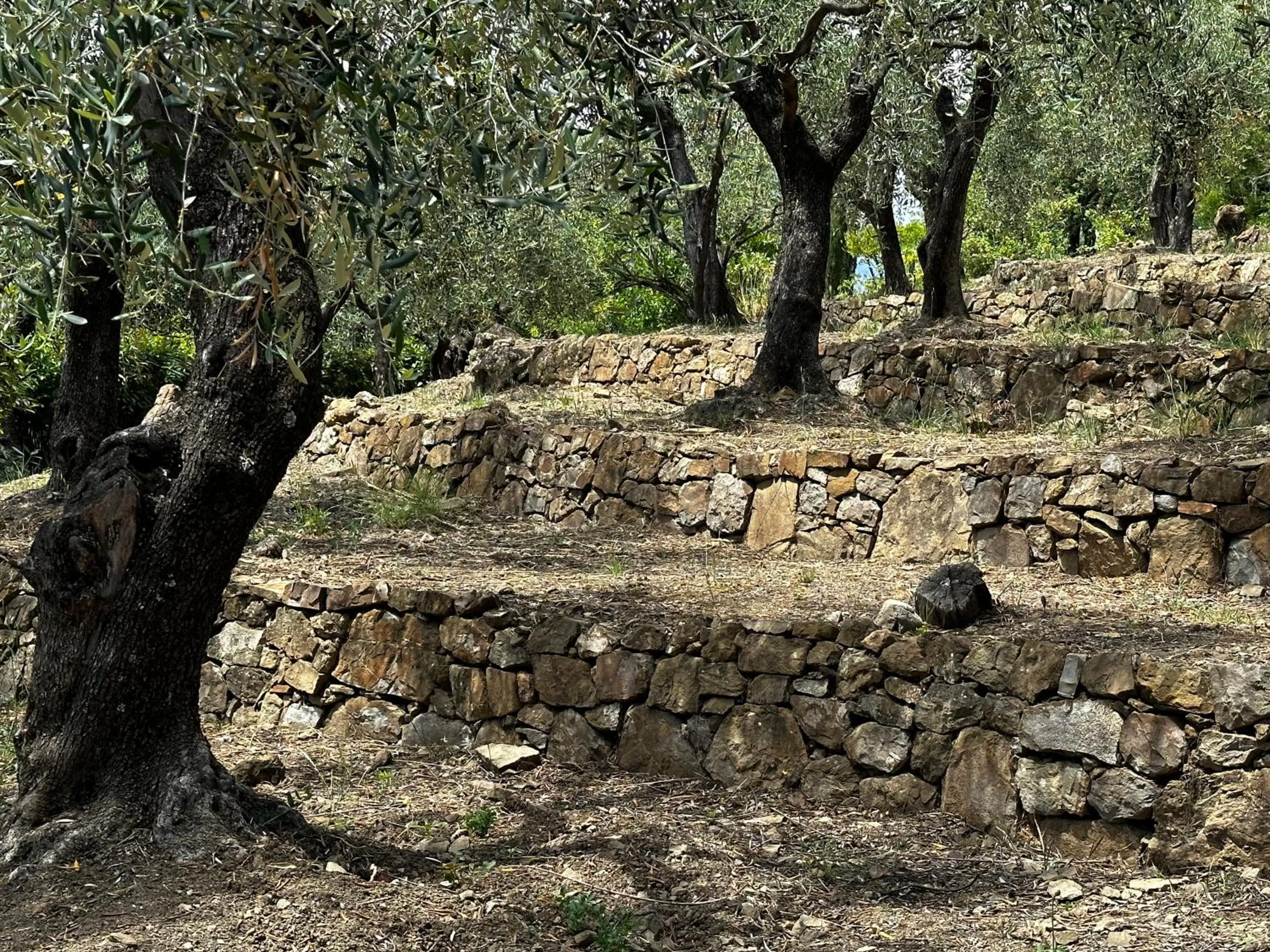 Property building in Relais San Damian