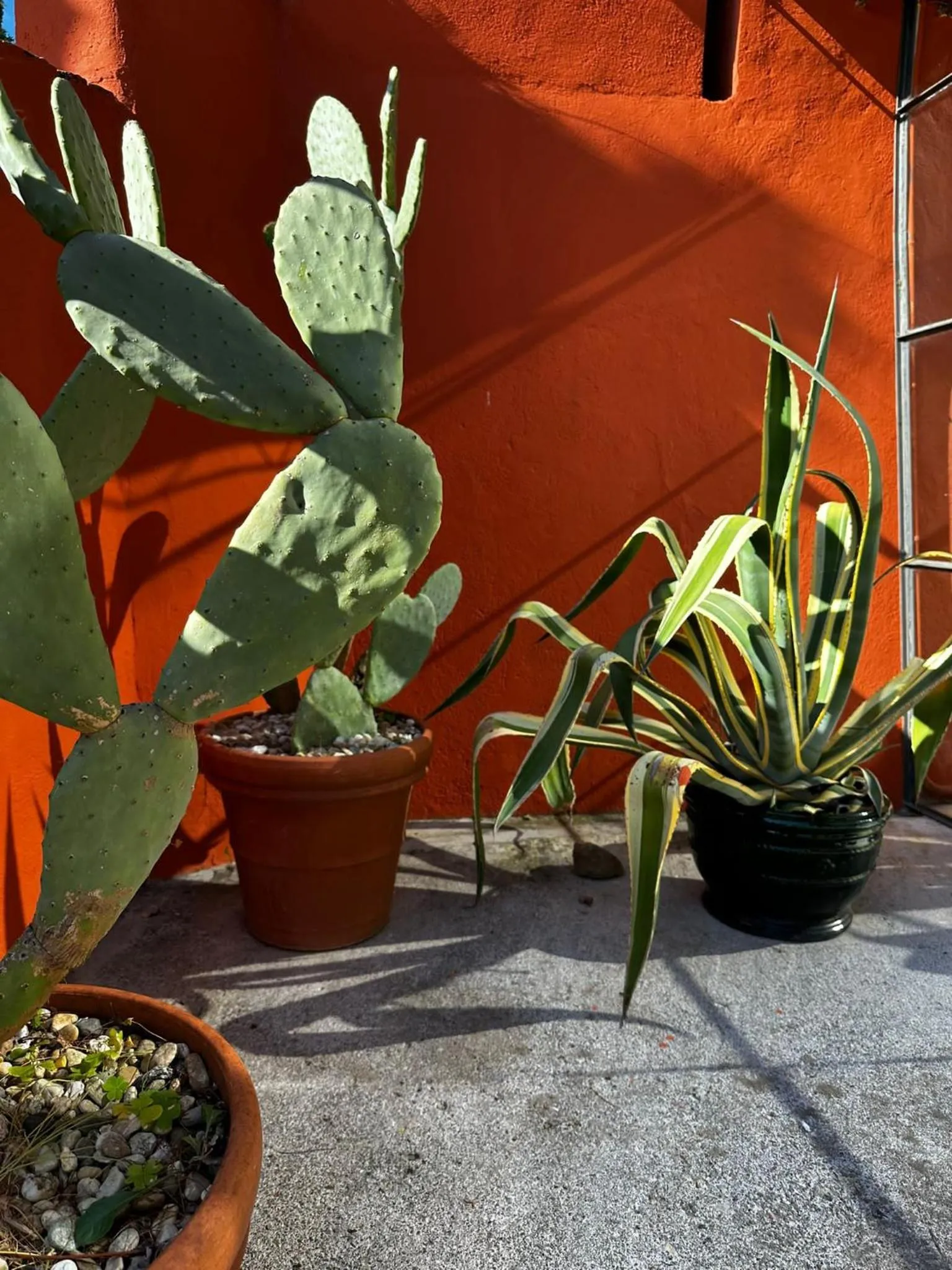 Property building in Relais San Damian