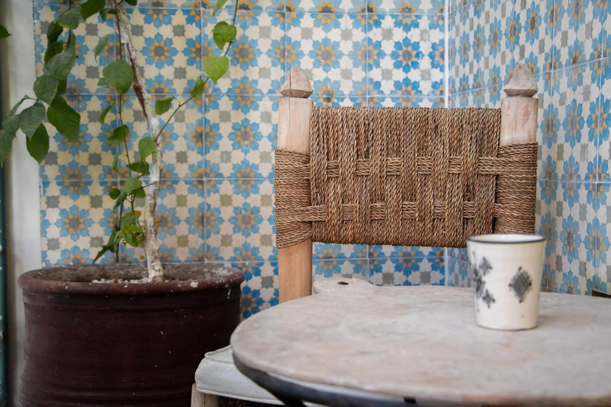 Area and facilities in Riad Orange