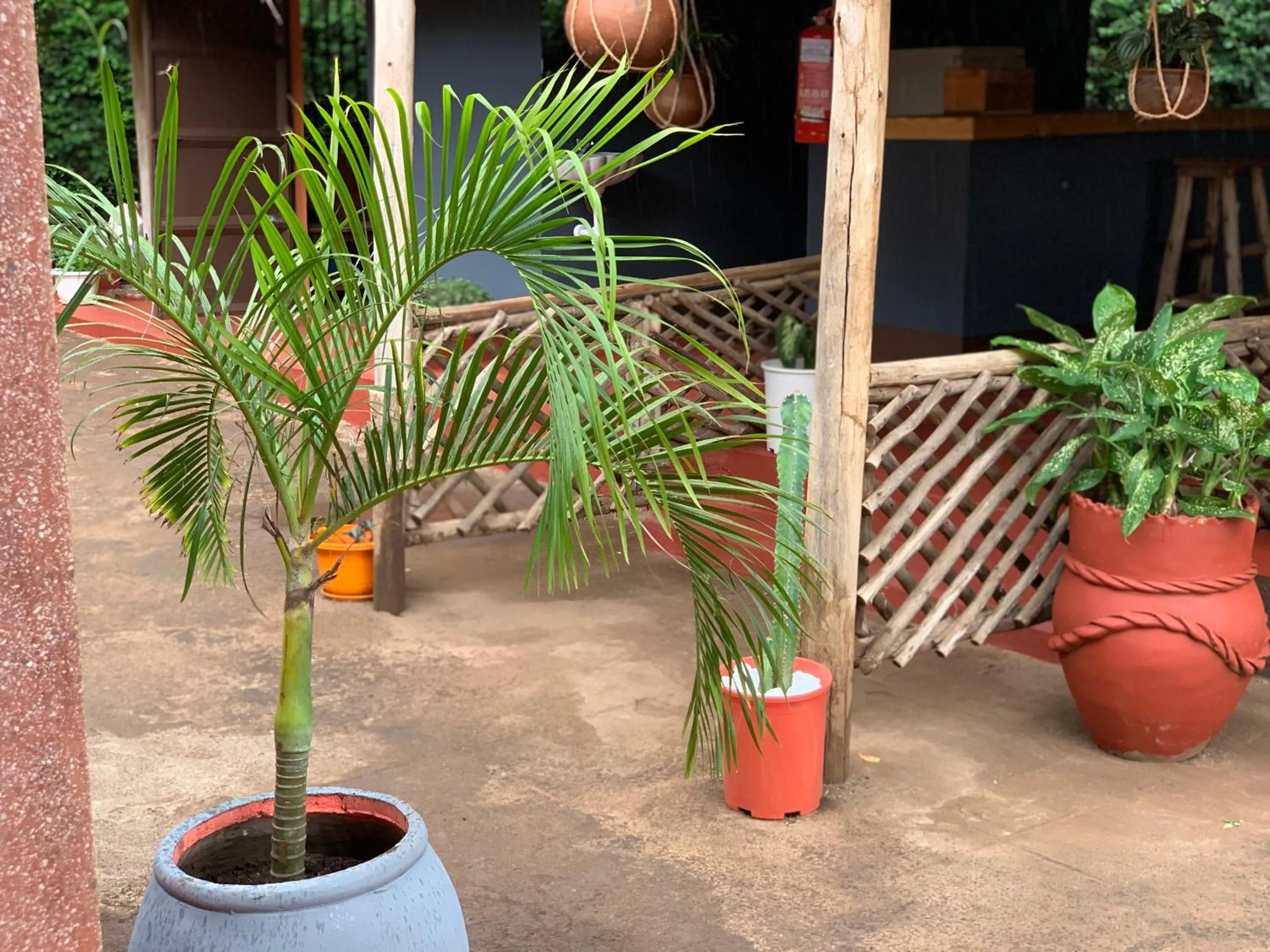 Property building in The Better Inn