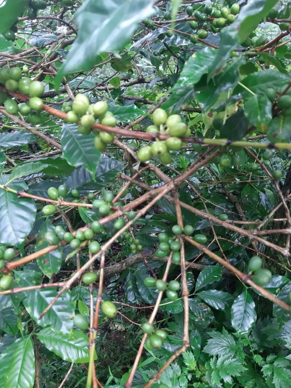 Activities in The Better Inn