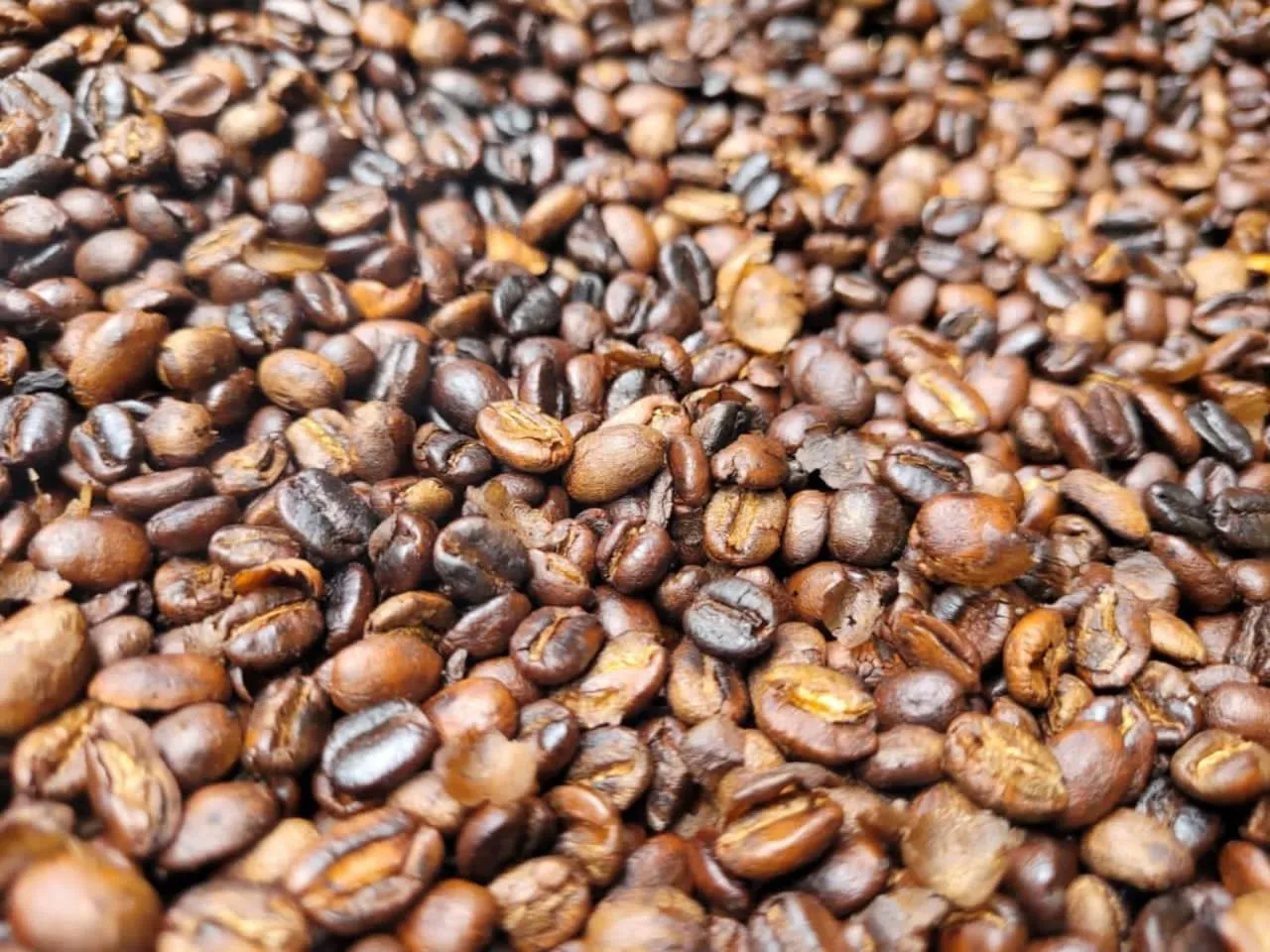 Activities in The Better Inn