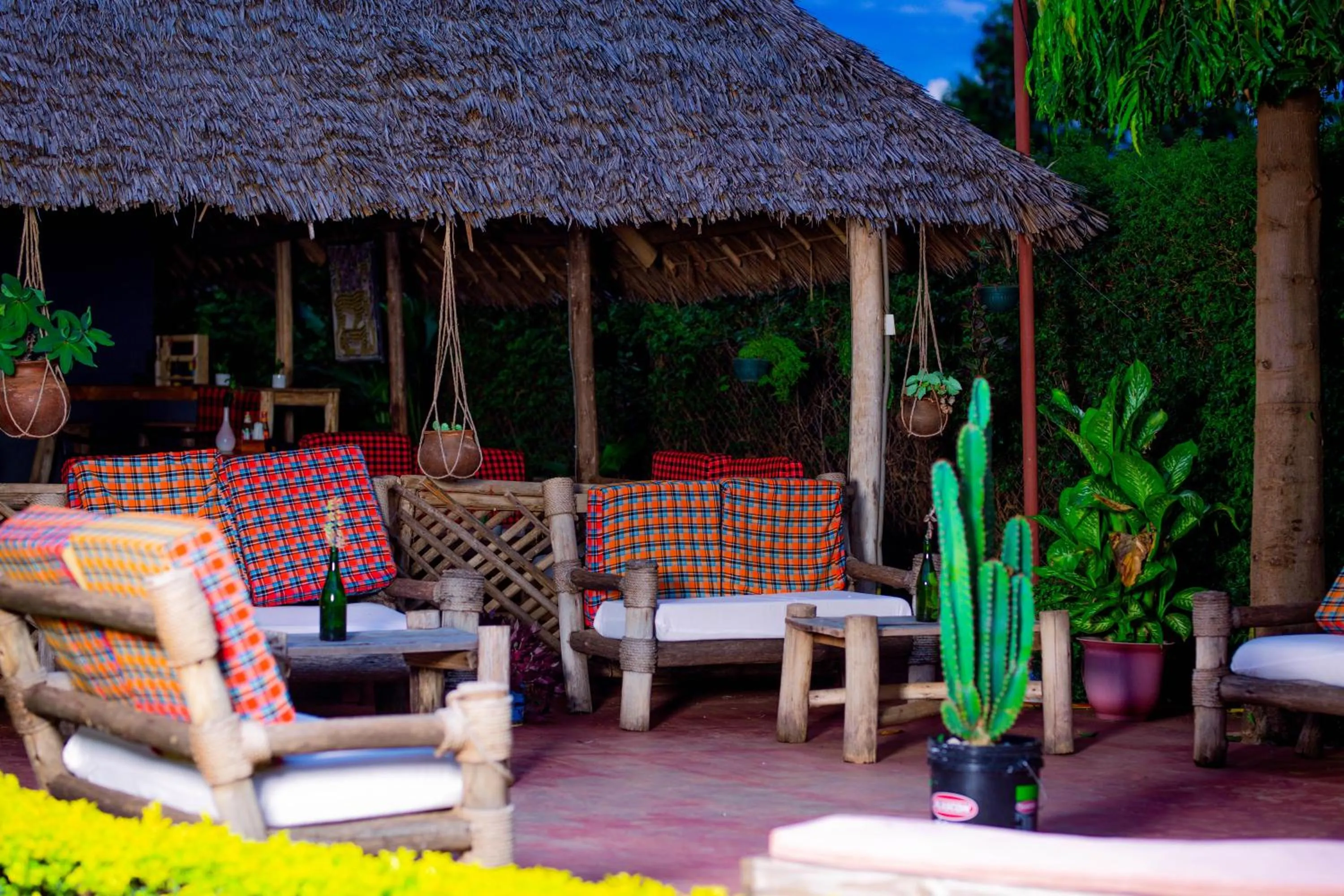 sunbed in The Better Inn