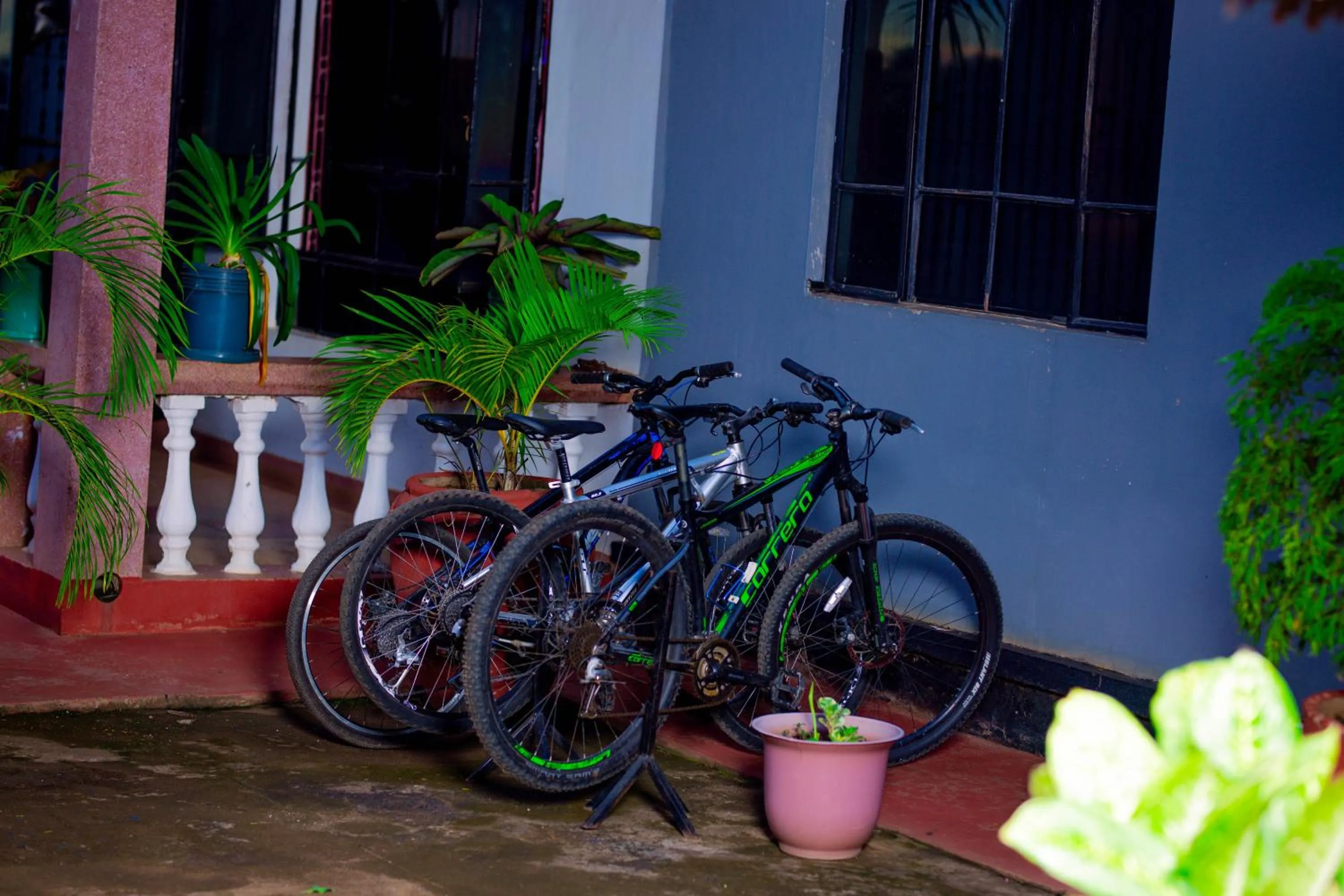 Cycling in The Better Inn