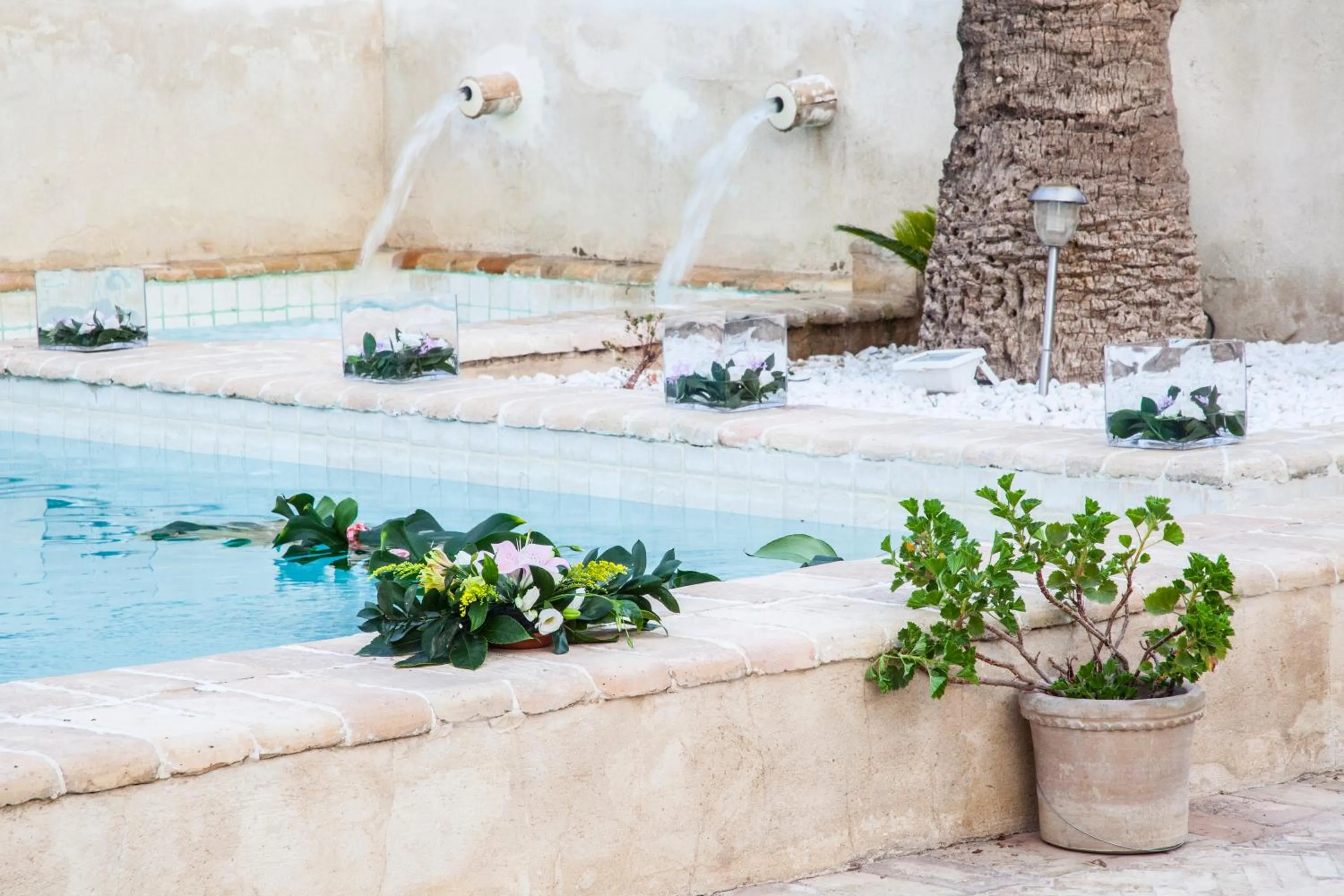 Day in Hospedería del Monasterio