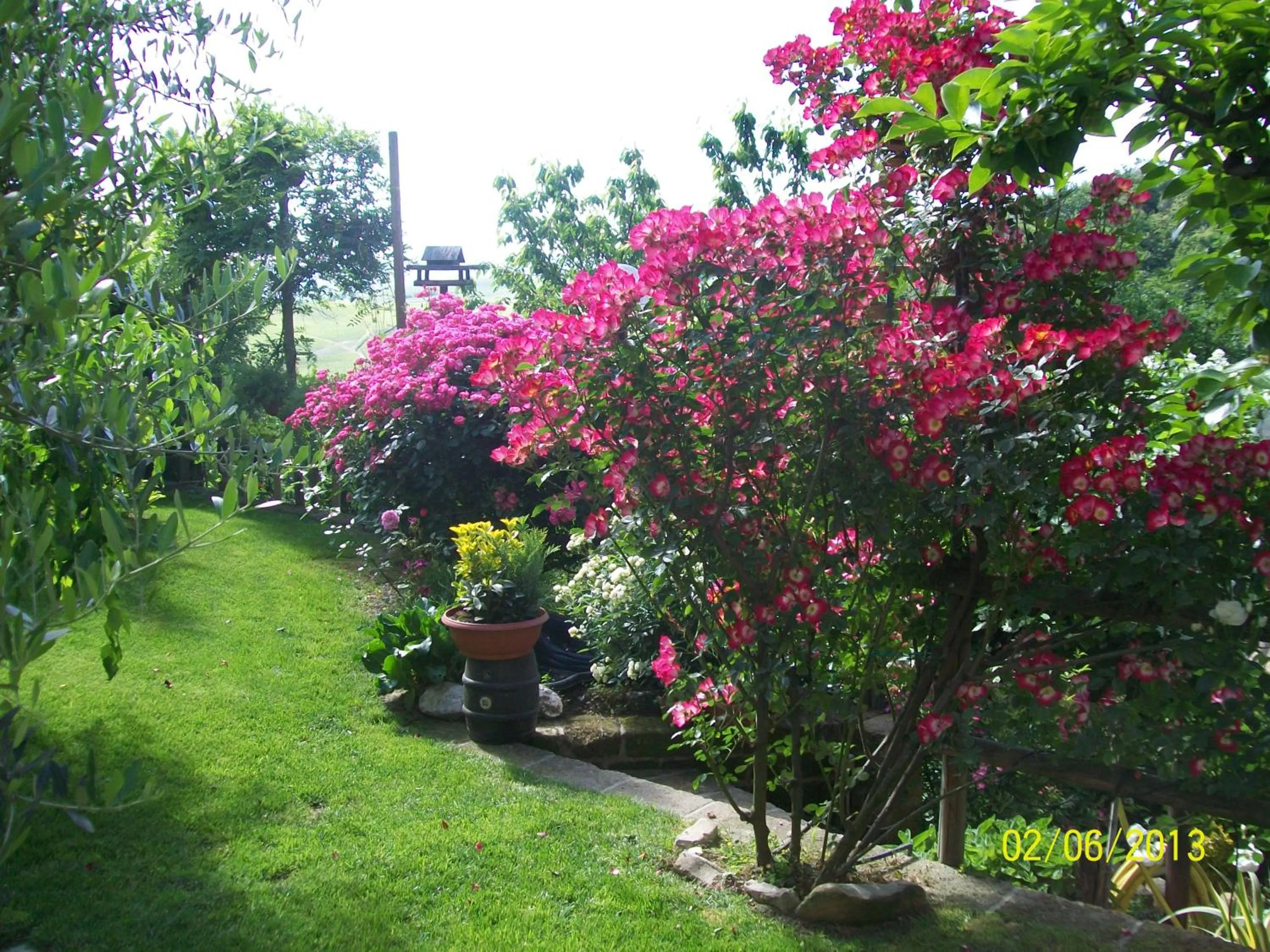 Garden in Il bosco delle torte