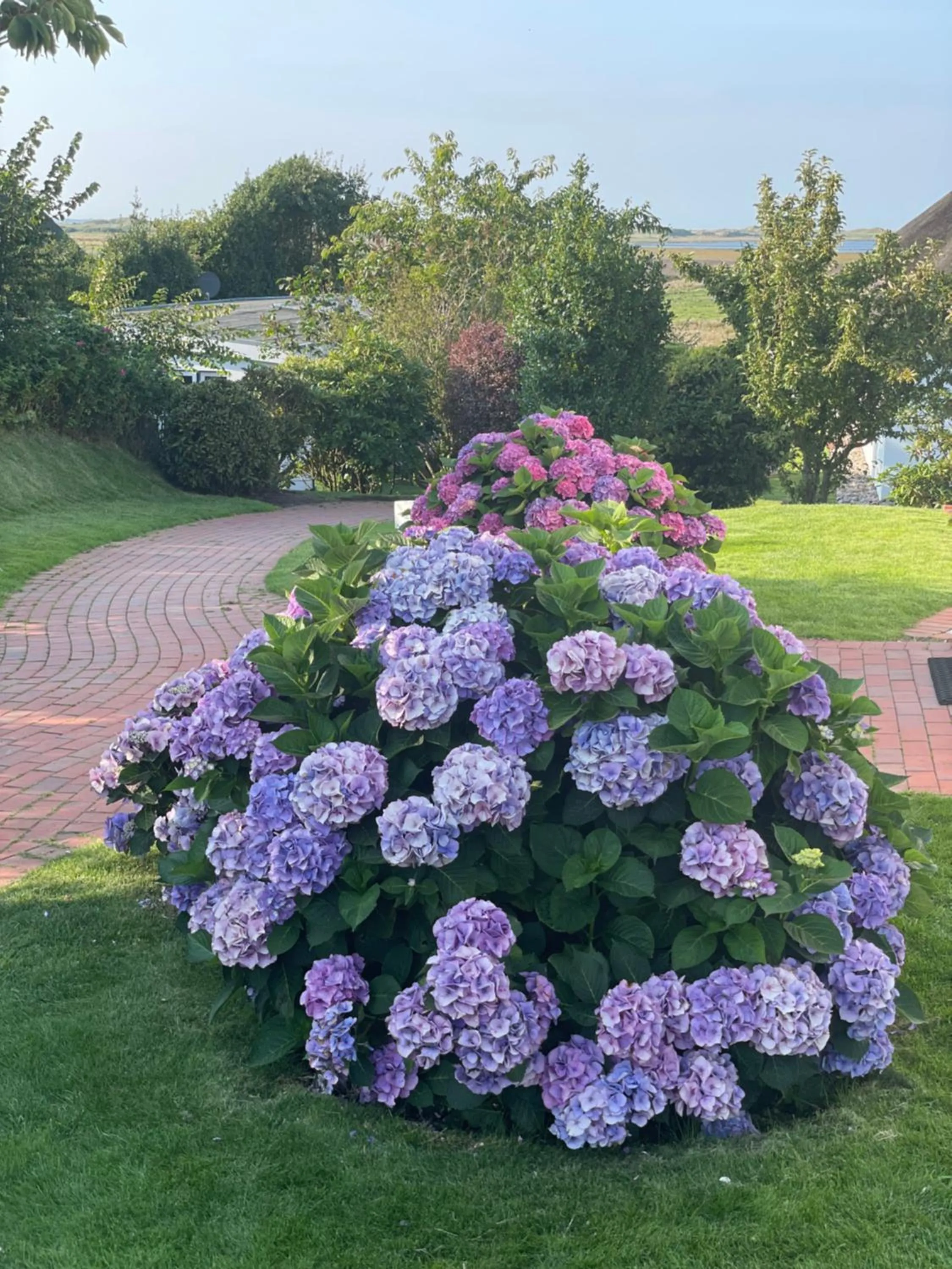 Garden in Haus Amanda