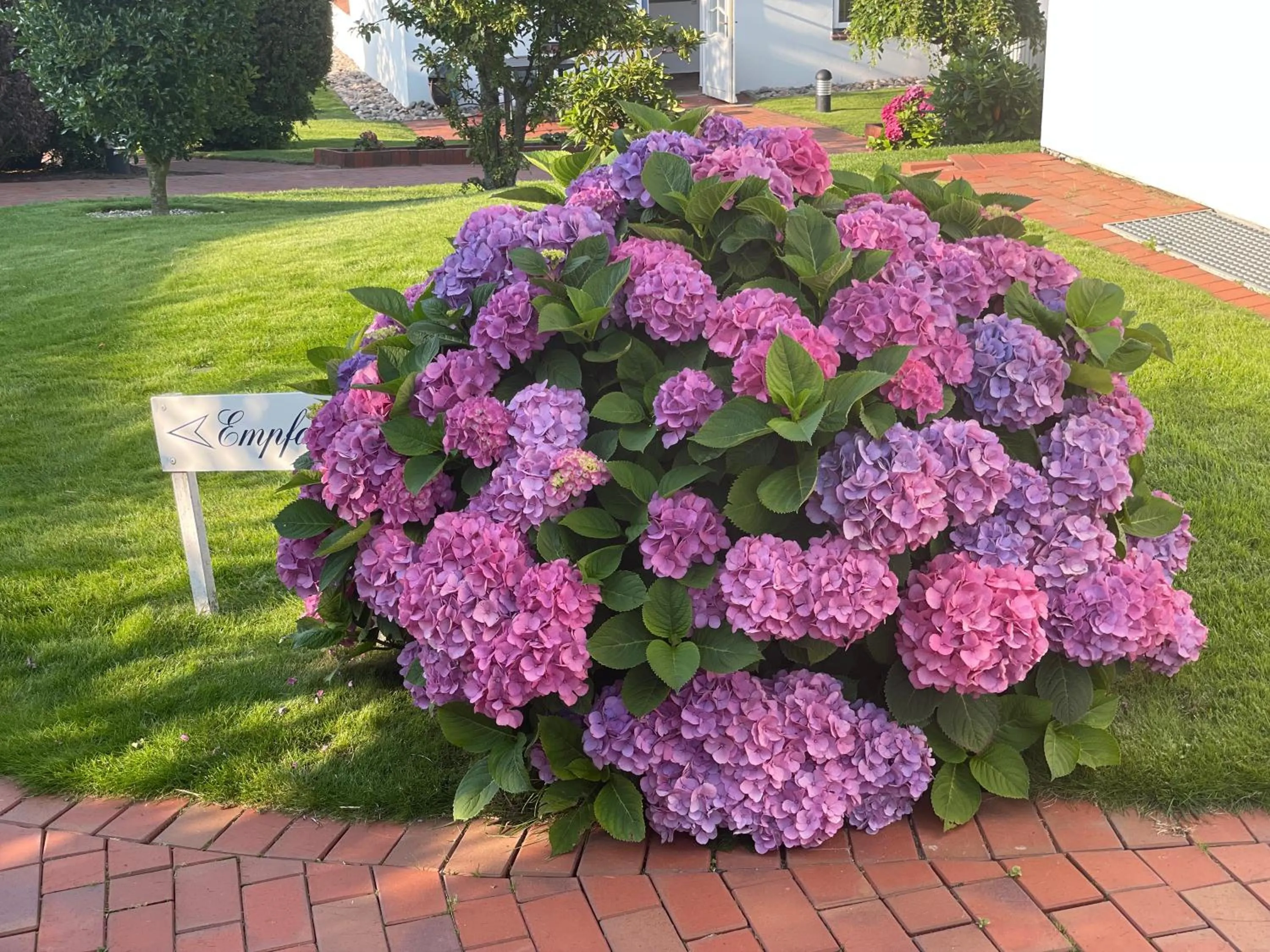 Garden in Haus Amanda