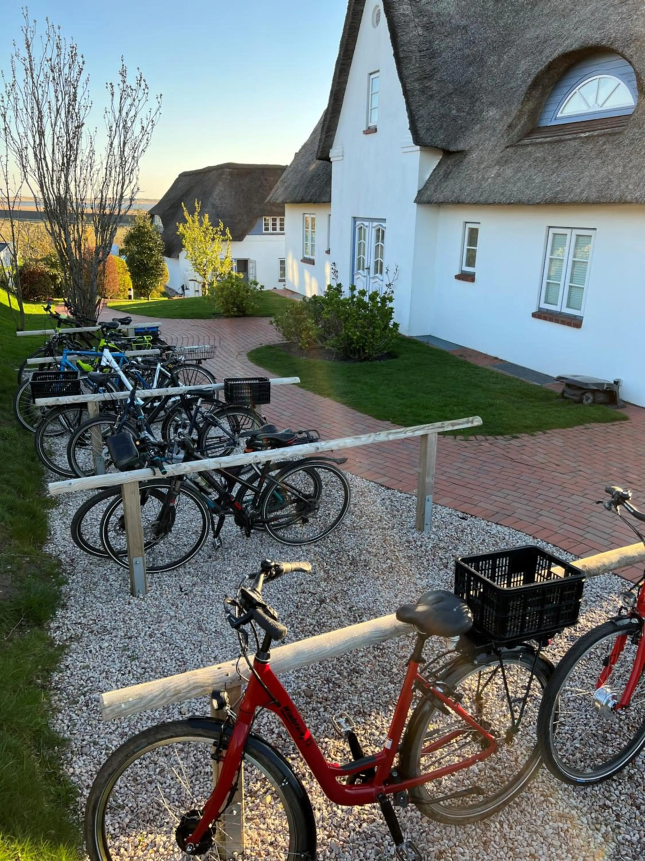 Garden in Haus Amanda