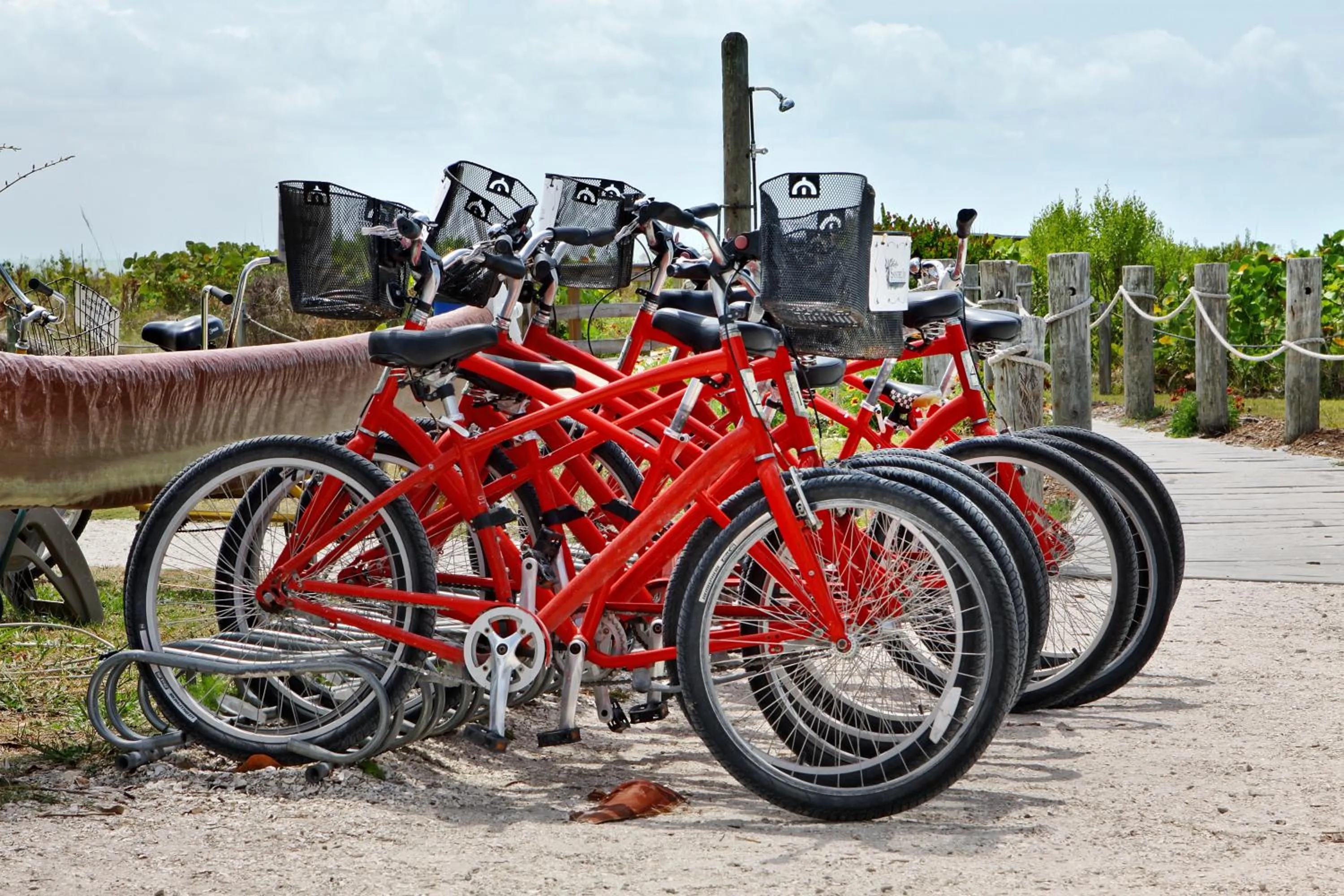 Activities in Sanibel Inn