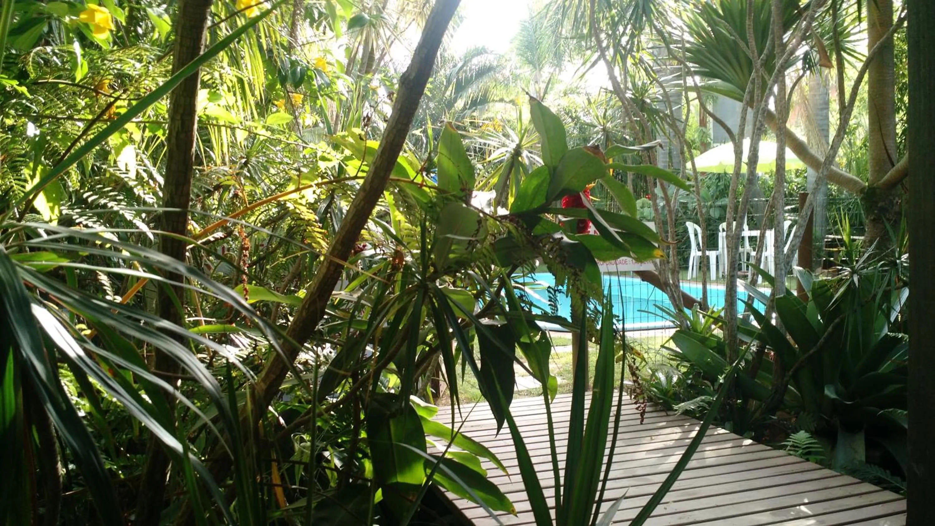 Pool view in Pousada Além do Jardim