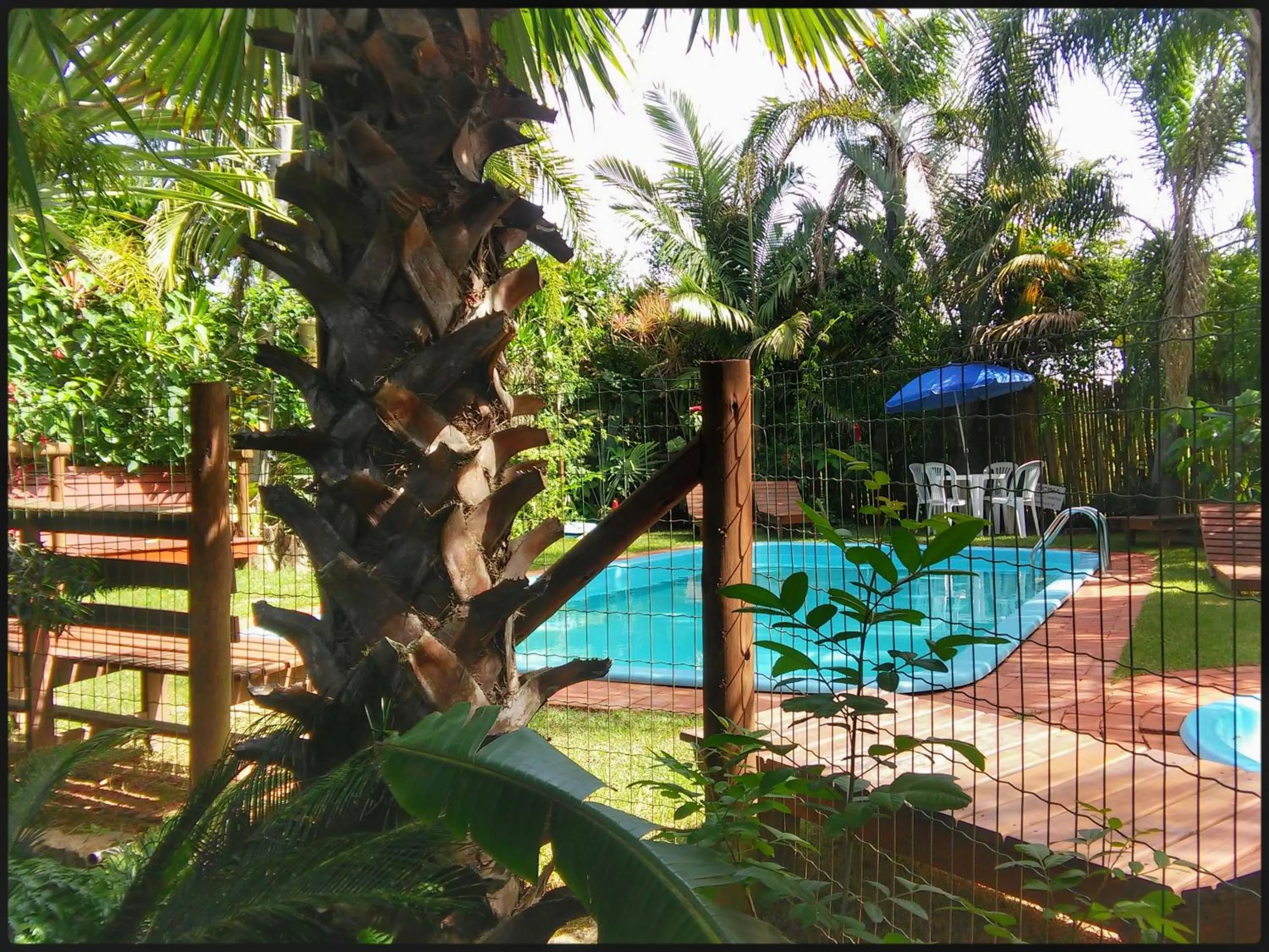 Garden in Pousada Além do Jardim
