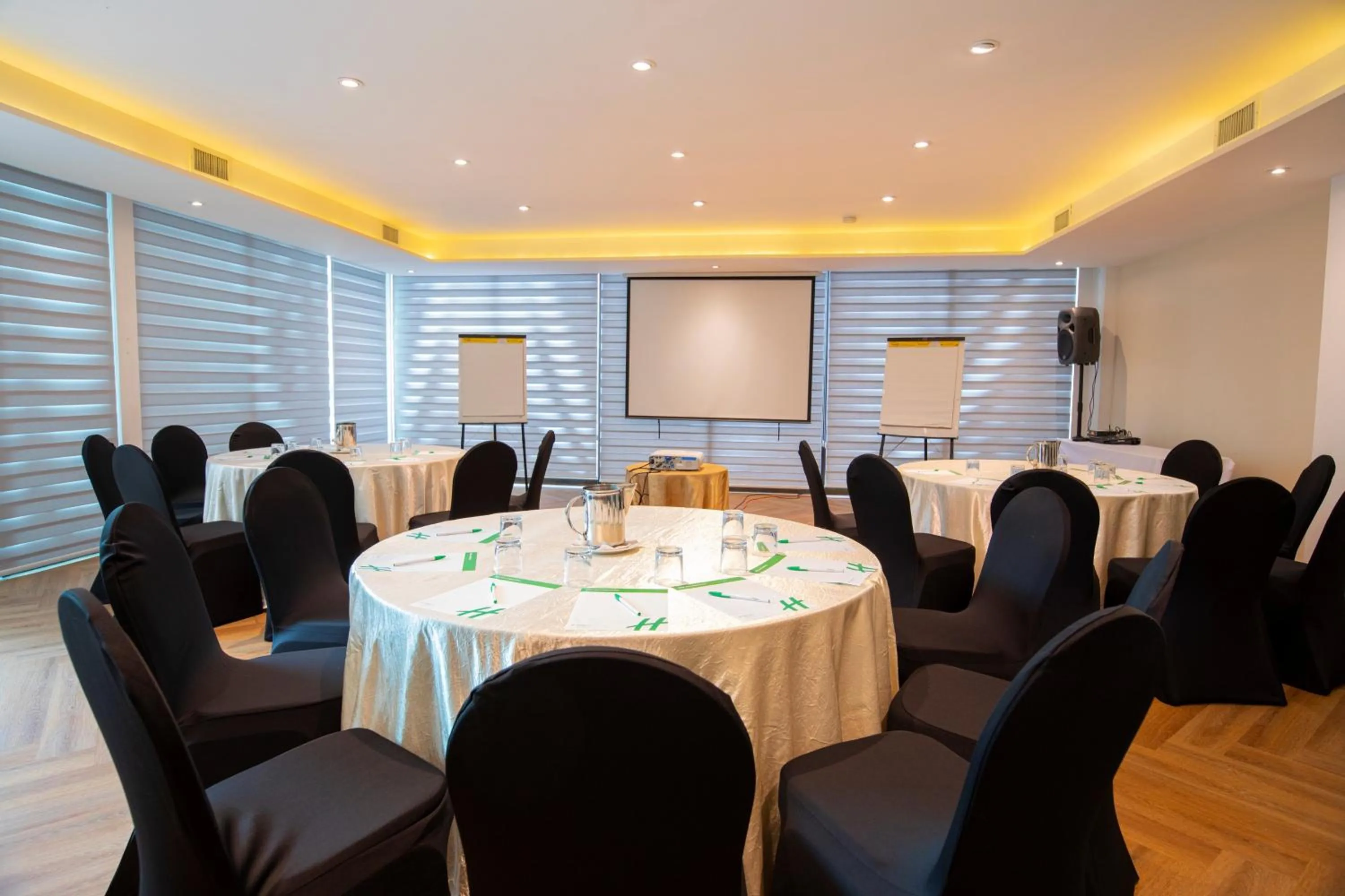 Meeting/conference room in Holiday Inn Panama Canal by IHG