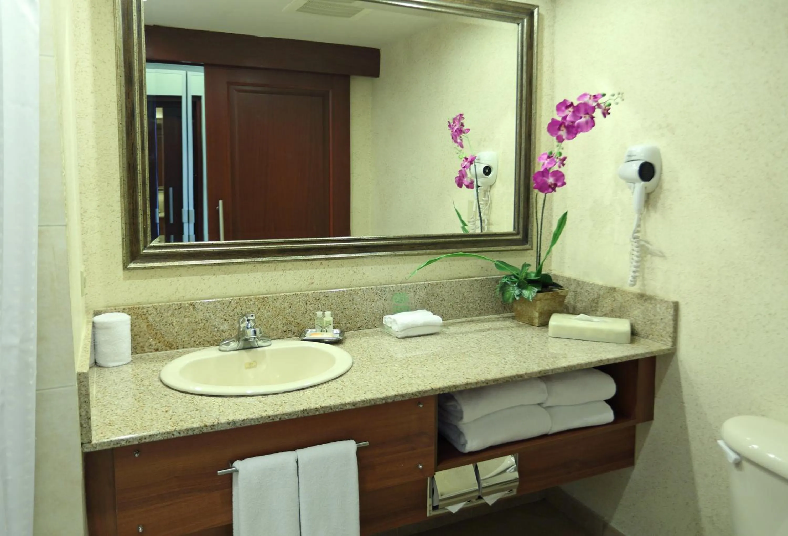 Bathroom in Holiday Inn Panama Canal by IHG