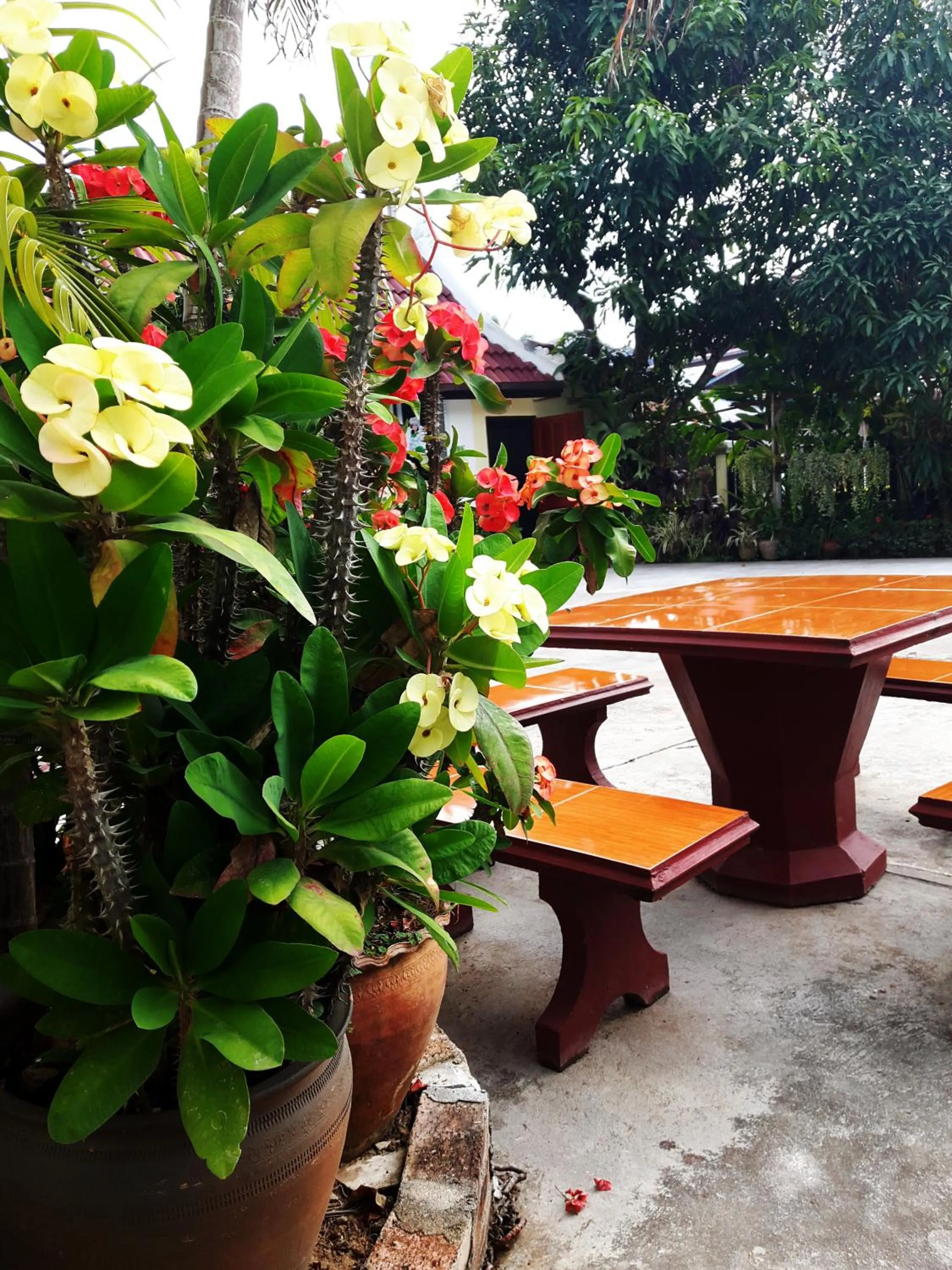 Garden in Phonepraseuth Guesthouse