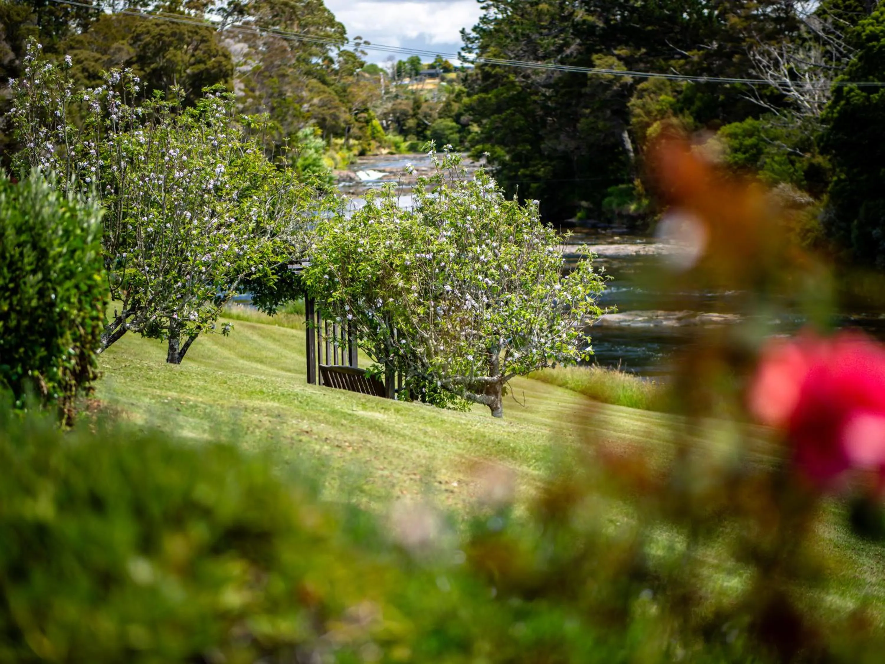 Spring in Te Awa Lodge