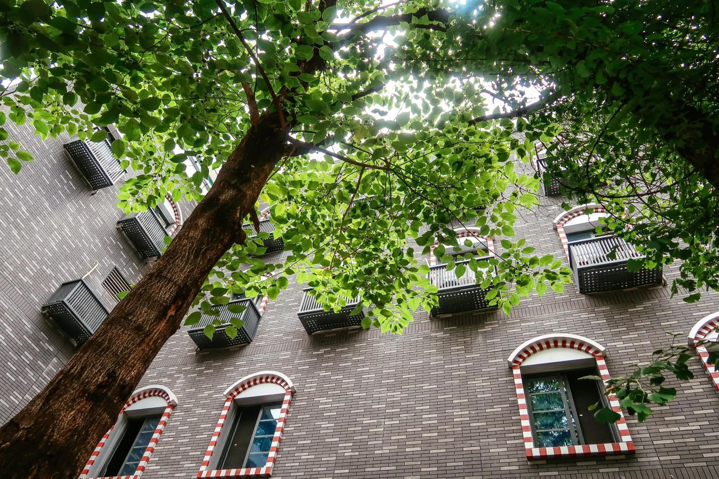 Property building in Chengdu Flipflop Hostel Poshpacker (Chunxi Road Metro Station) Property building in Chengdu Flipflop Hostel Poshpacker (Chunxi Road Metro Station)