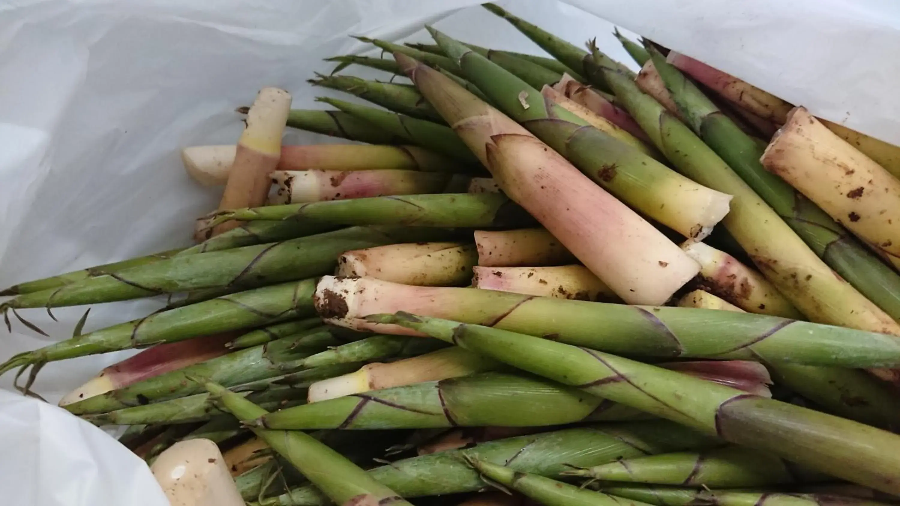 Food and drinks in Tabataya Food and drinks in Tabataya