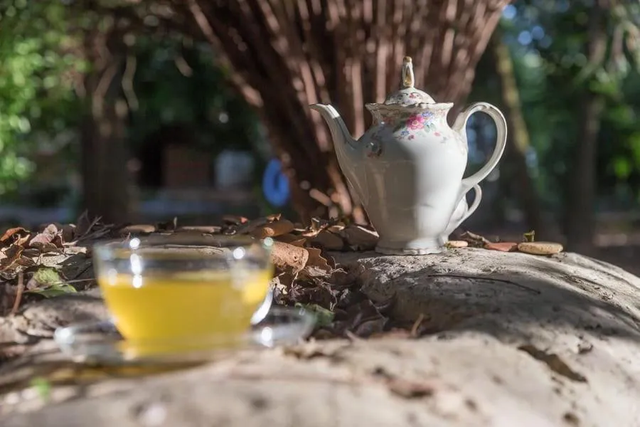 Breakfast in filobrocante